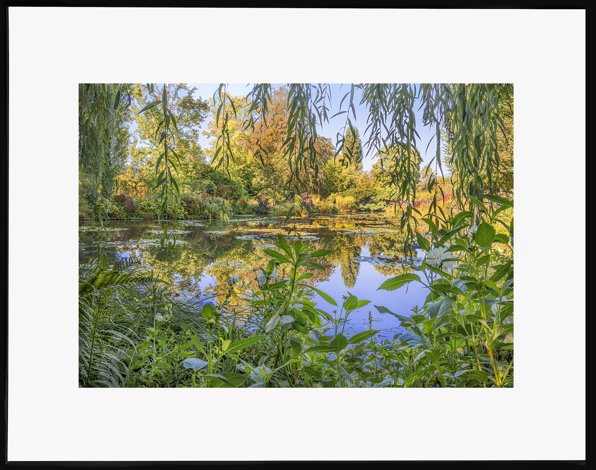 Monet's Garden, Giverny, France Study #4, 2023