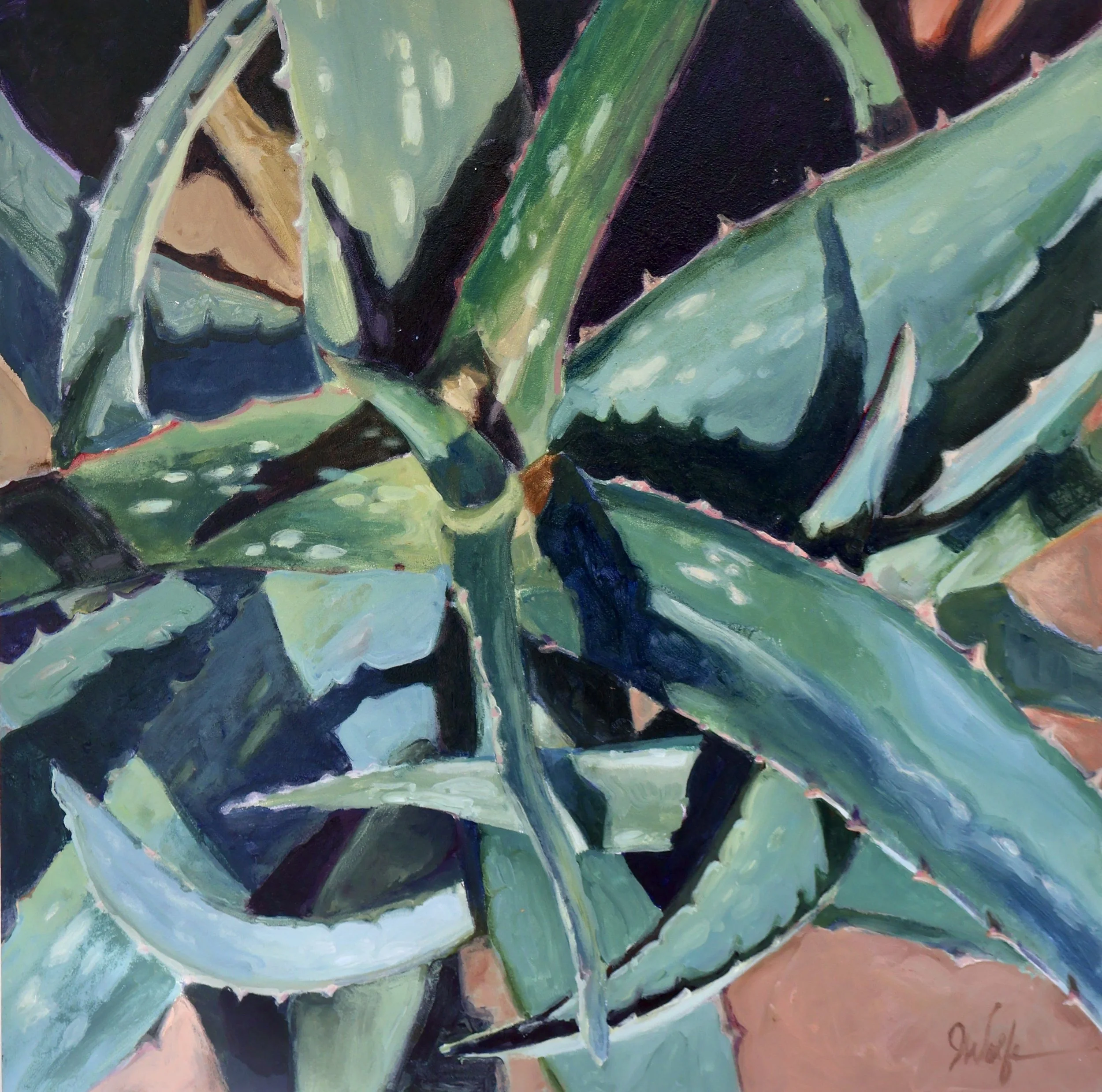 Aloe