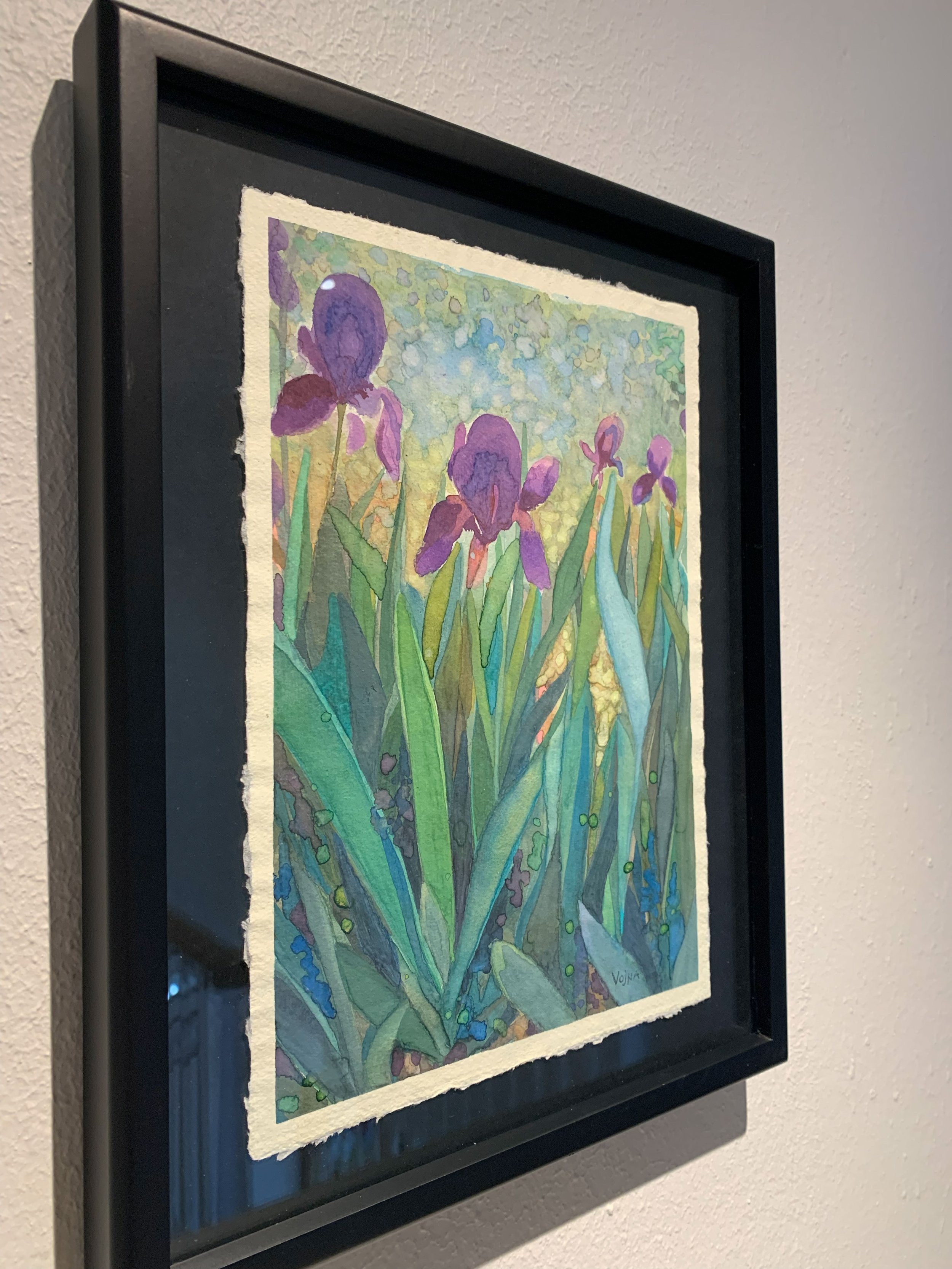 vbc0007-iris-dance (7).jpg