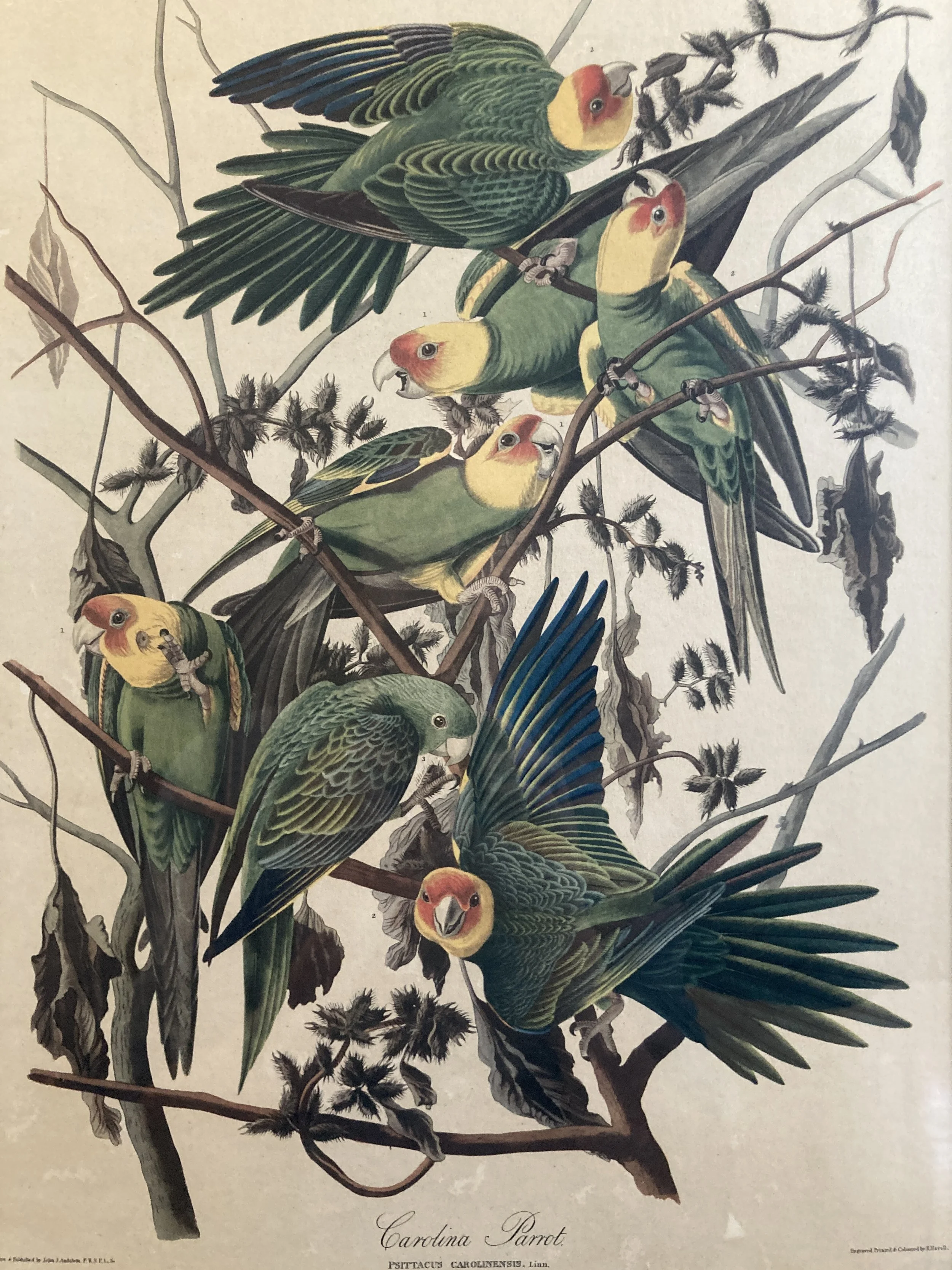 FJA0002 DETAIL 5.JPG