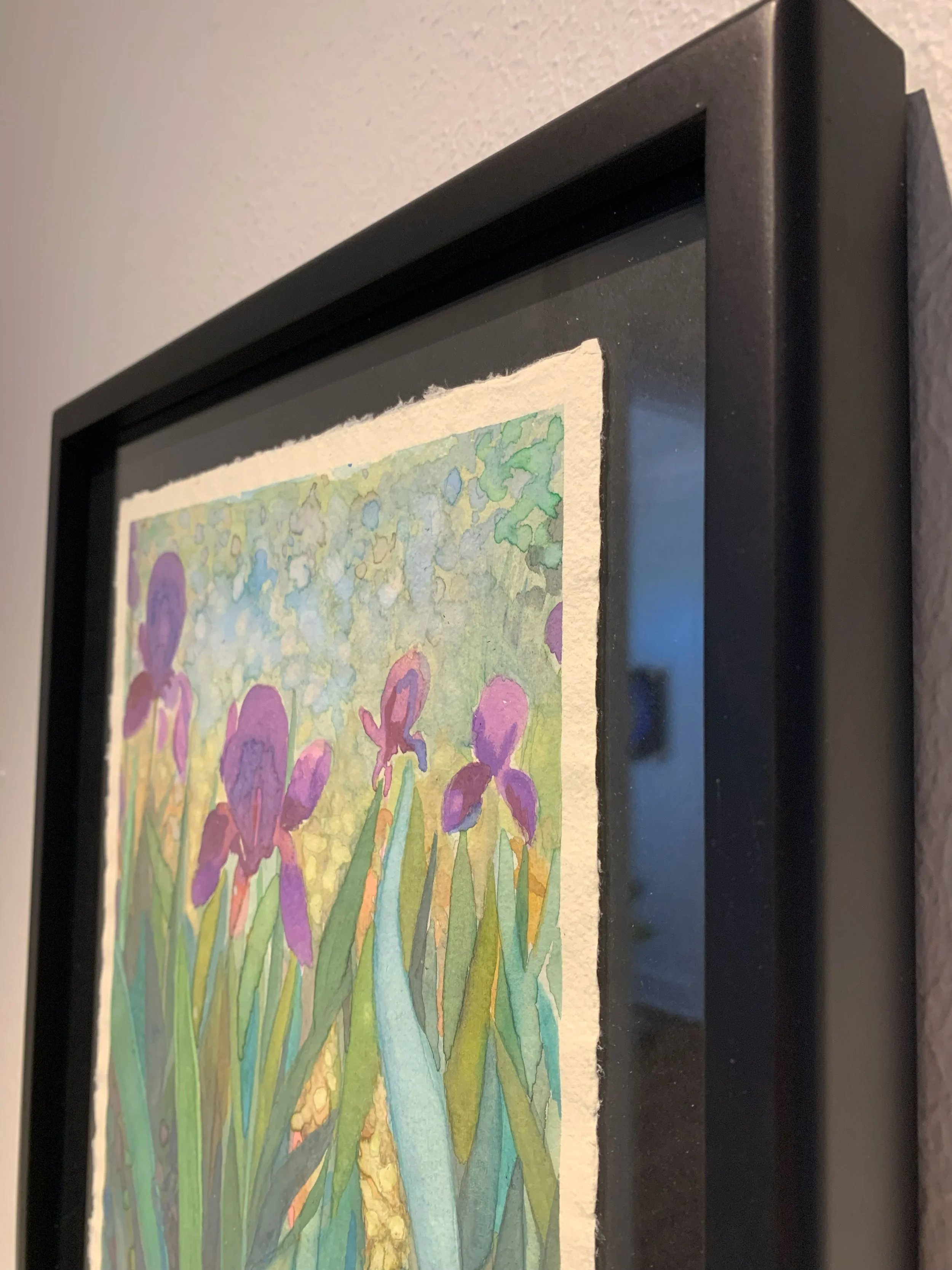 vbc0007-iris-dance (8).jpg