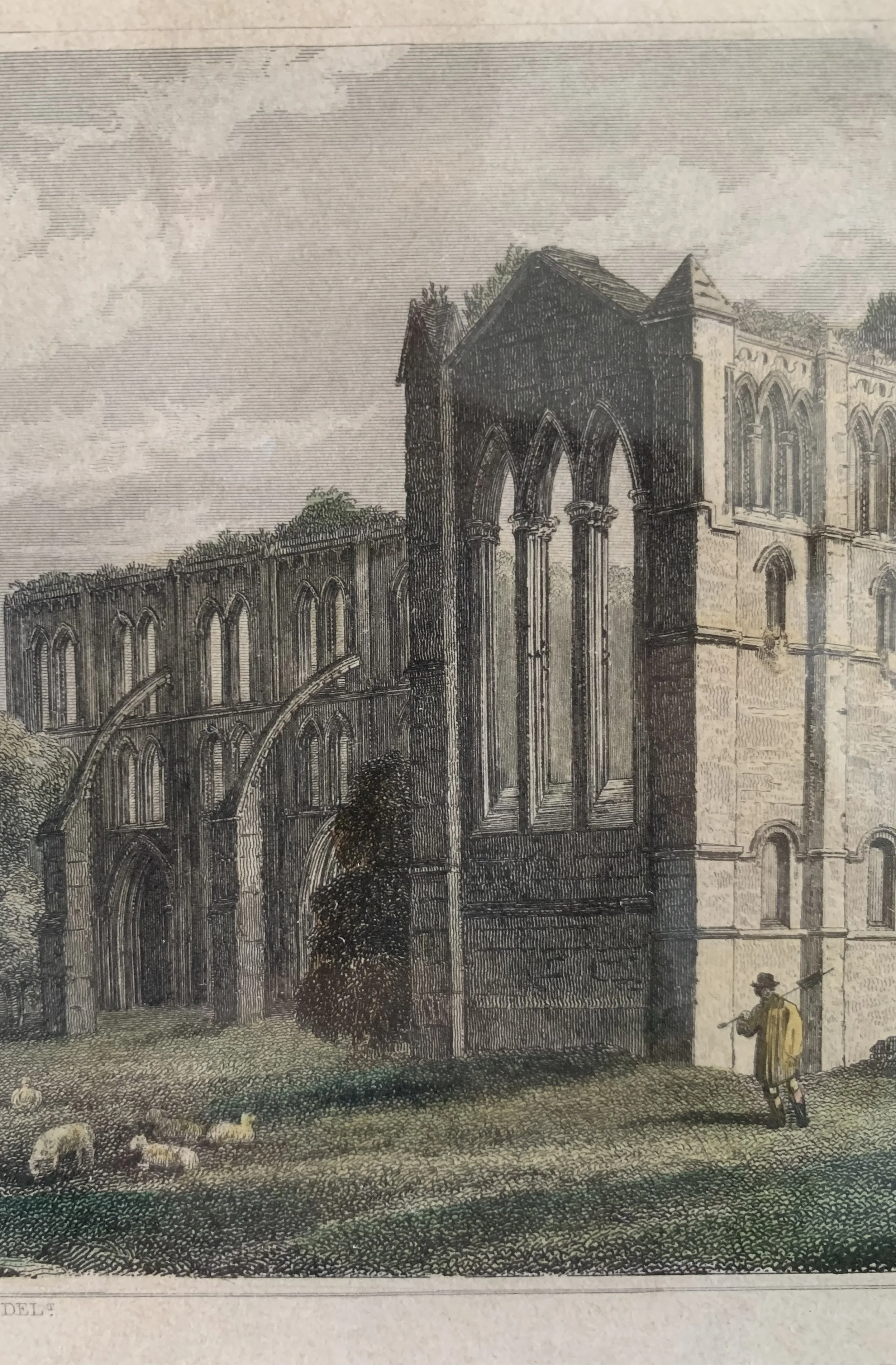 FNW0001 DETAIL 1.jpeg