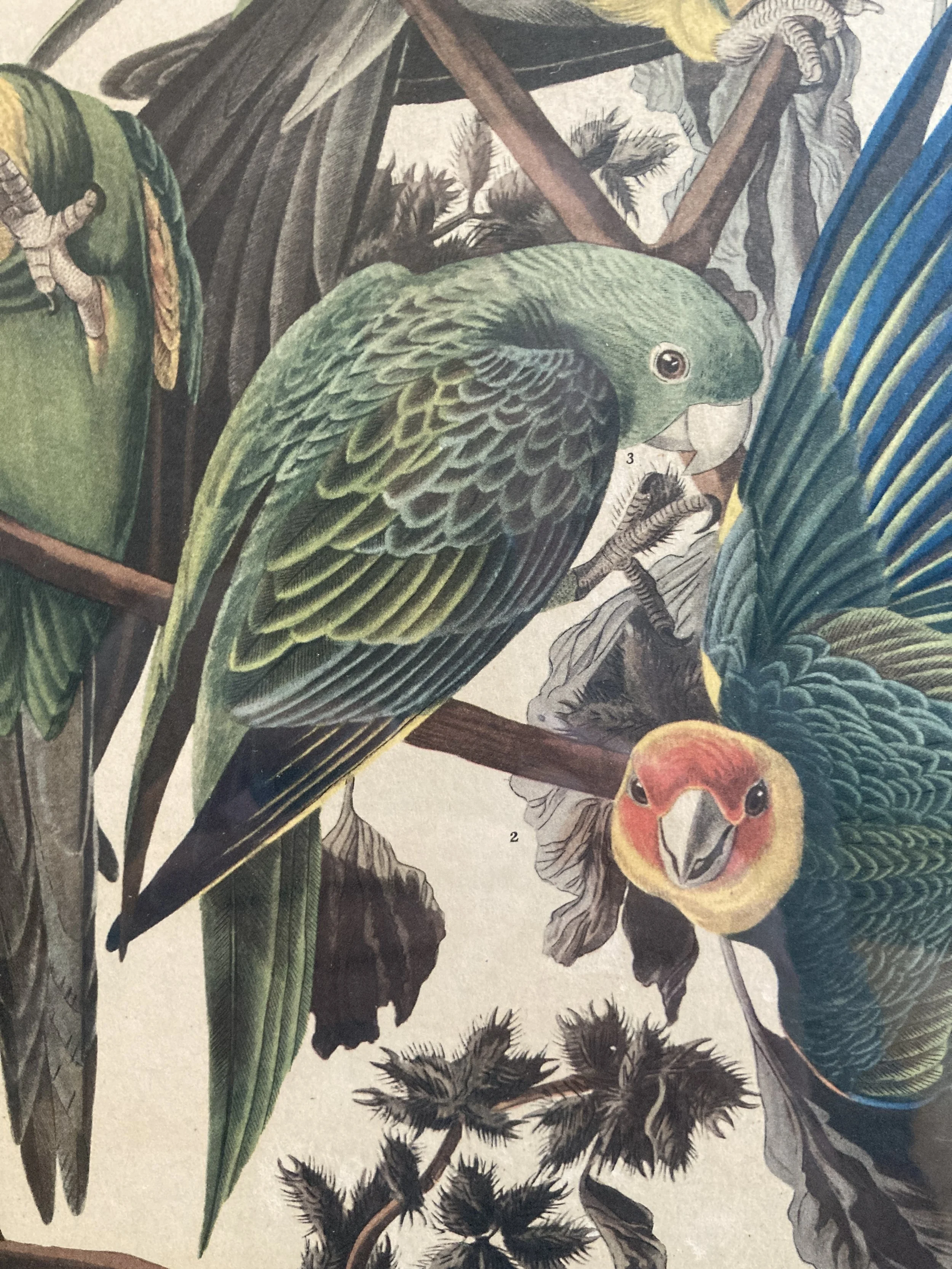 FJA0002 DETAIL 1.JPG