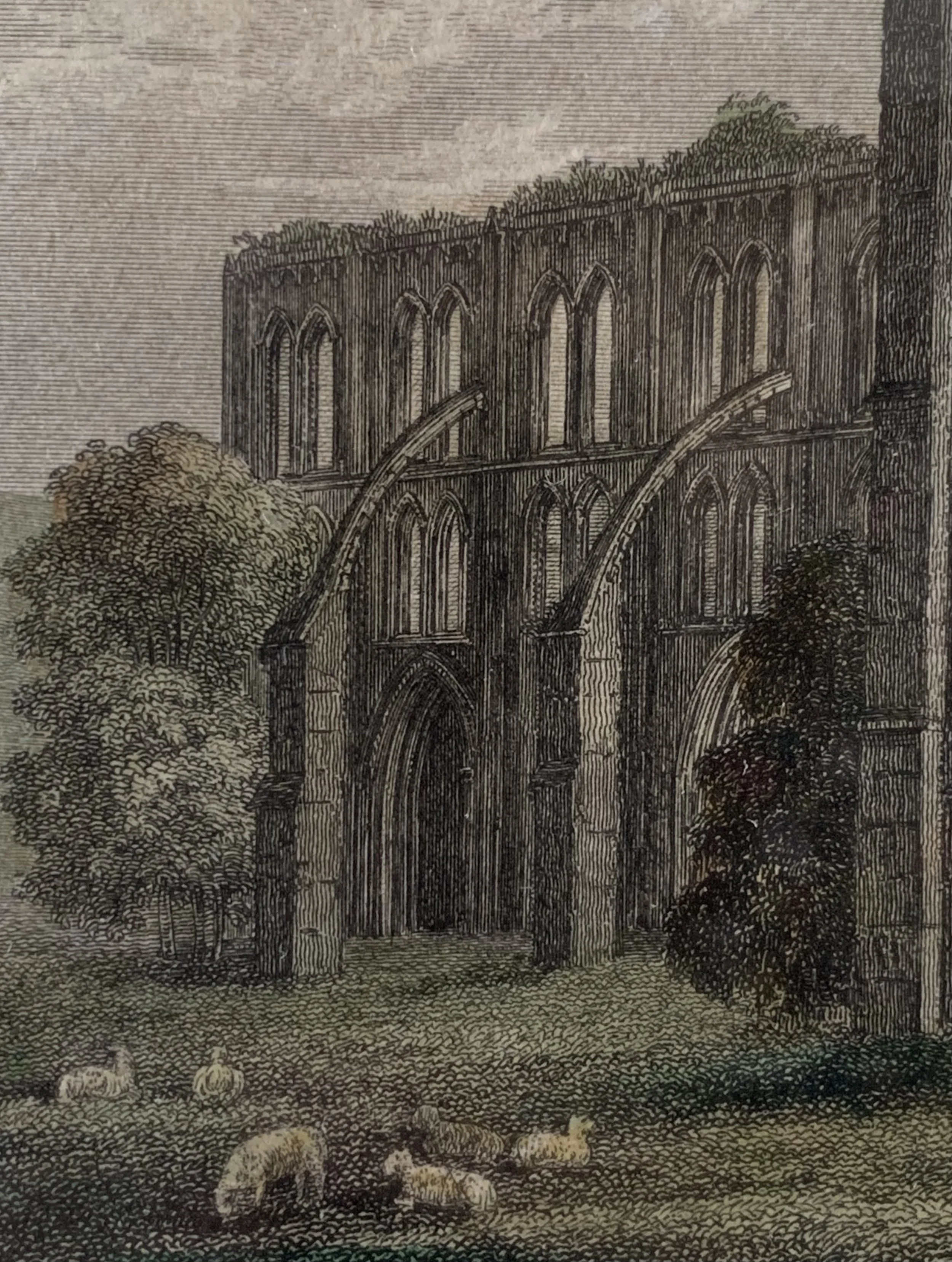 FNW0001 DETAIL 4.jpeg