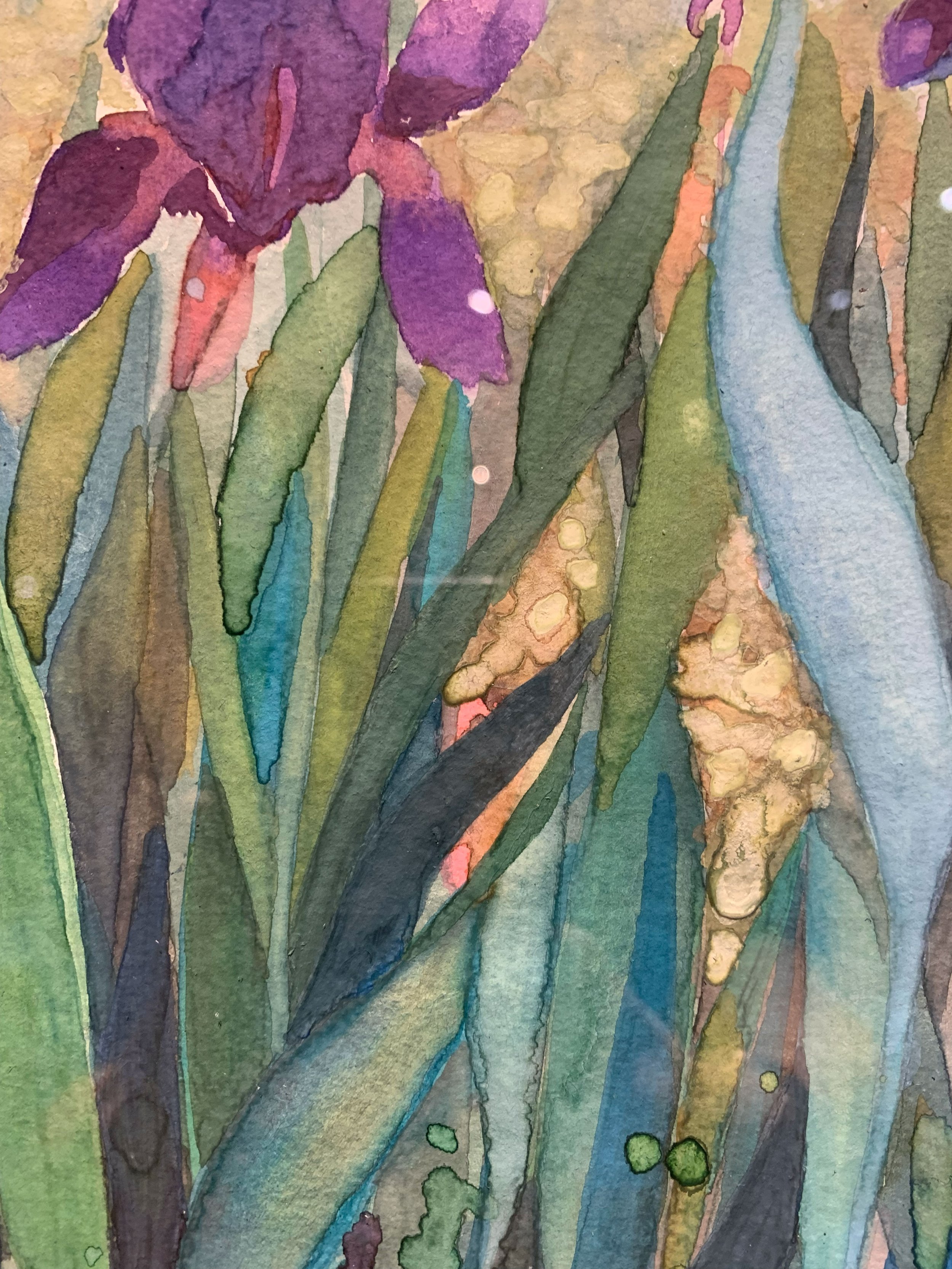 vbc0007-iris-dance (14).jpg