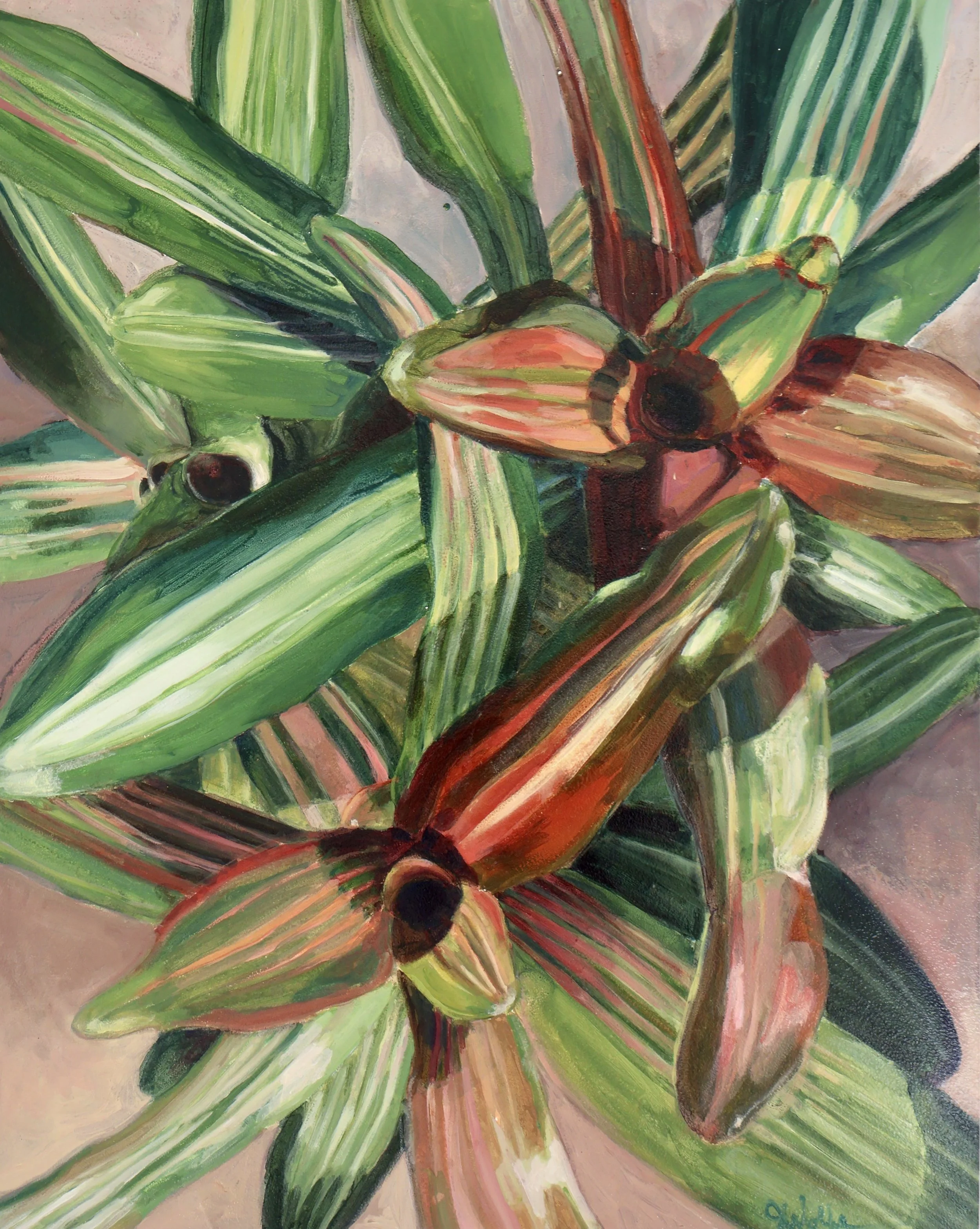 Bromeliad #4