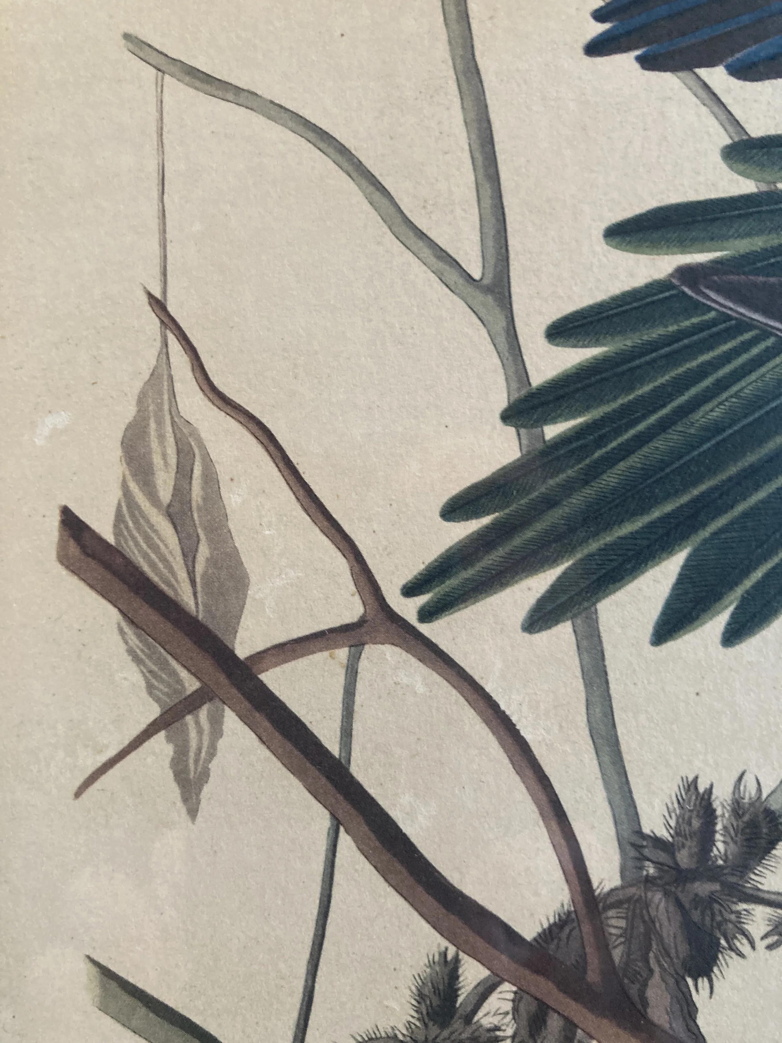 FJA0002 DETAIL 3.JPG