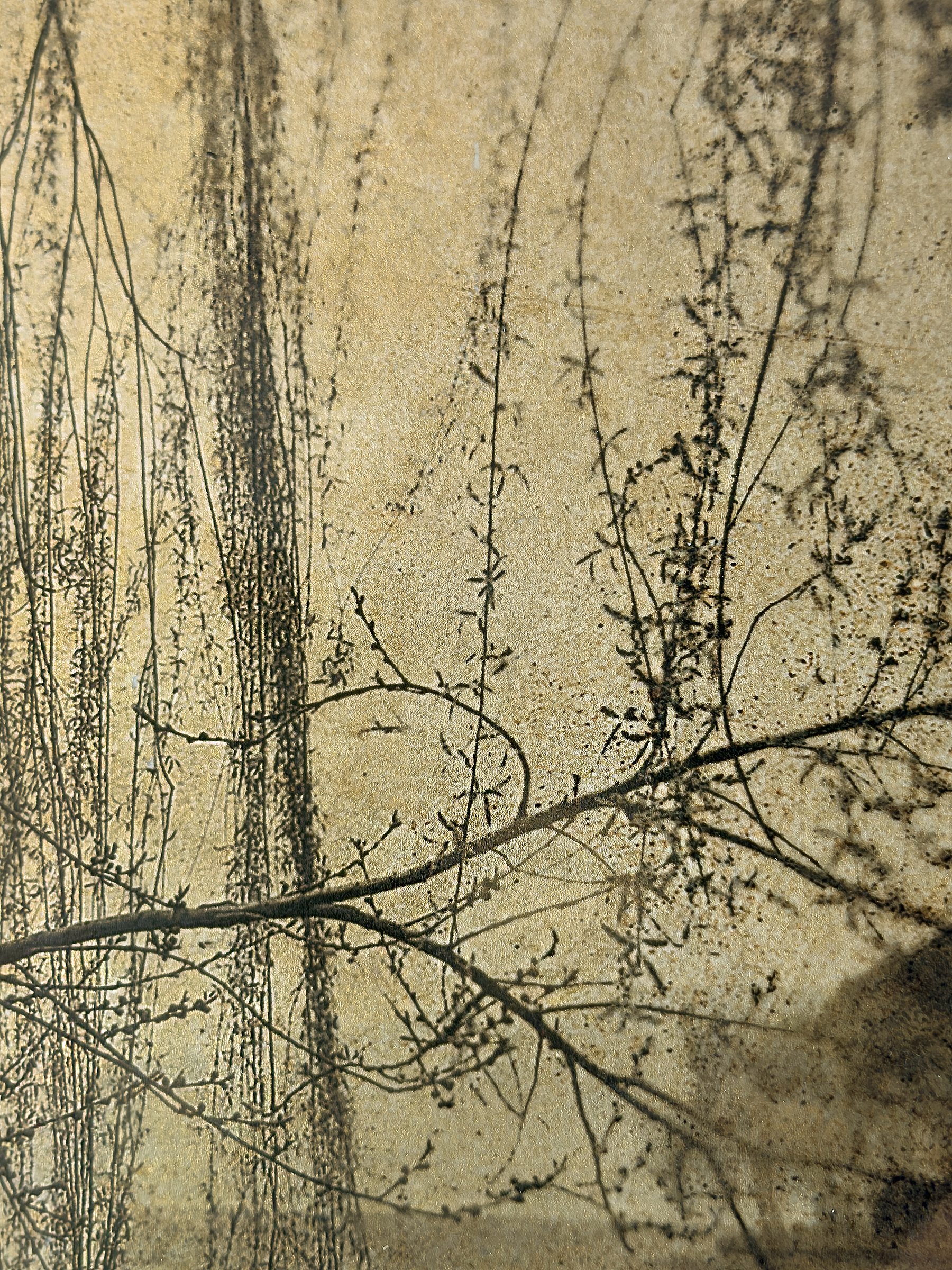 JMB0044 DETAIL 2.jpg