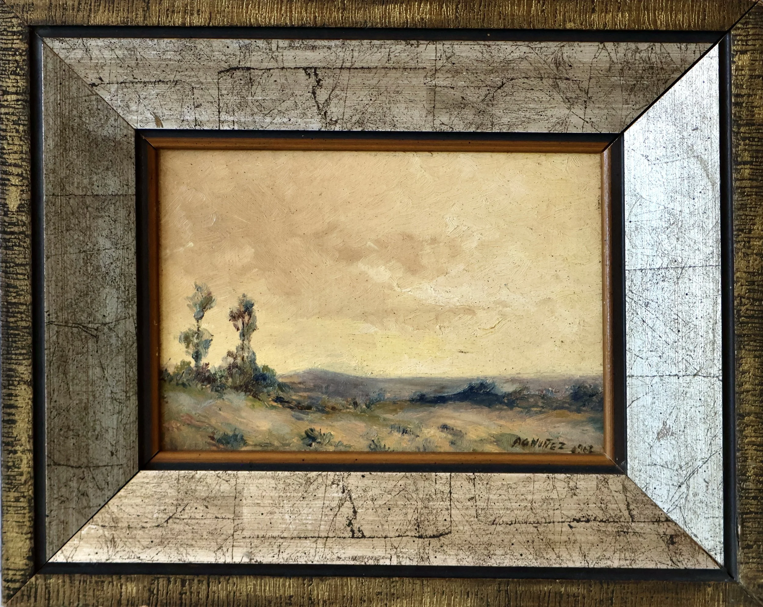 Desert Landscape