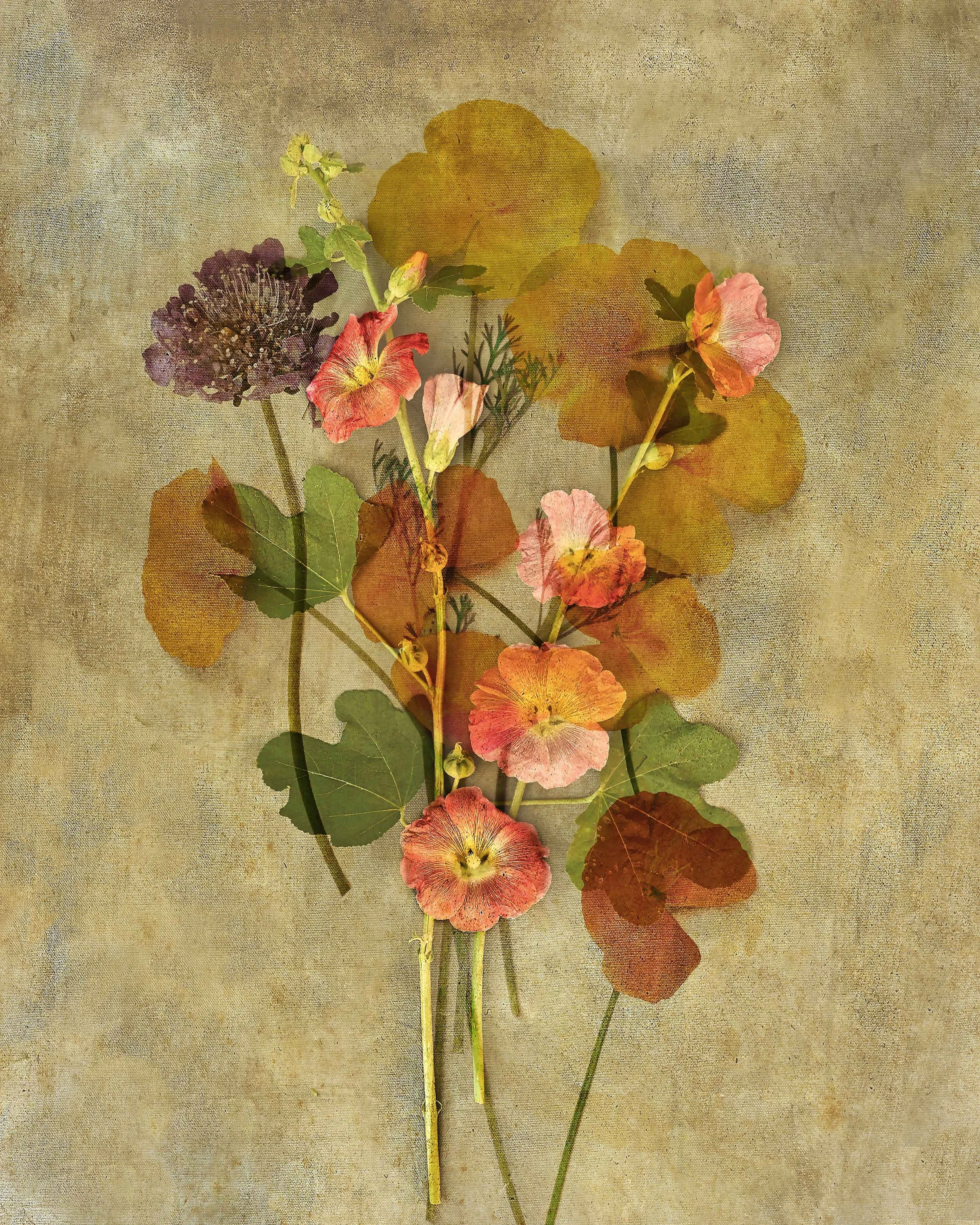 Bouquet-#1,-2023-Edition-1_25-WEB.jpg
