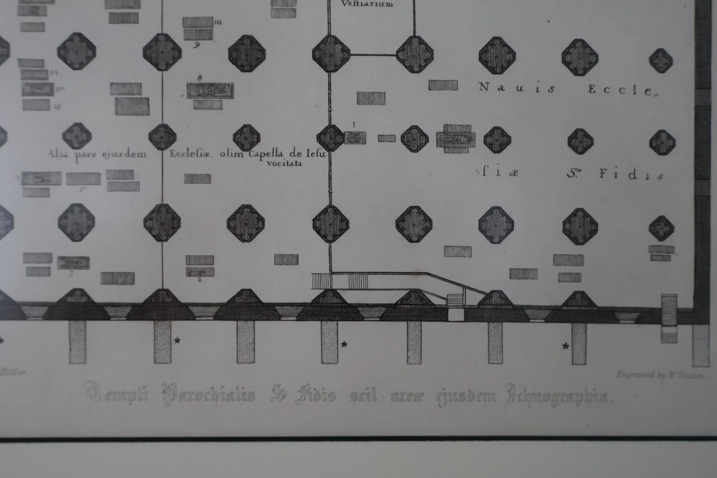 FWF0002 FRAME DETAIL 2.JPG