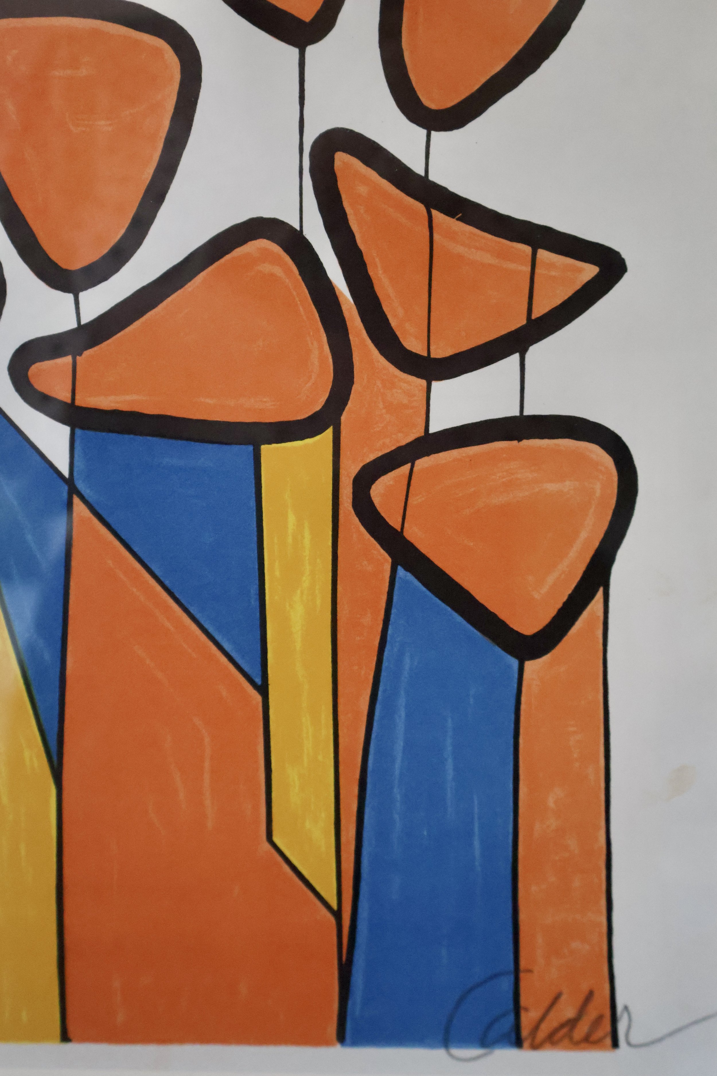 FALC0001 DETAIL 2.JPG