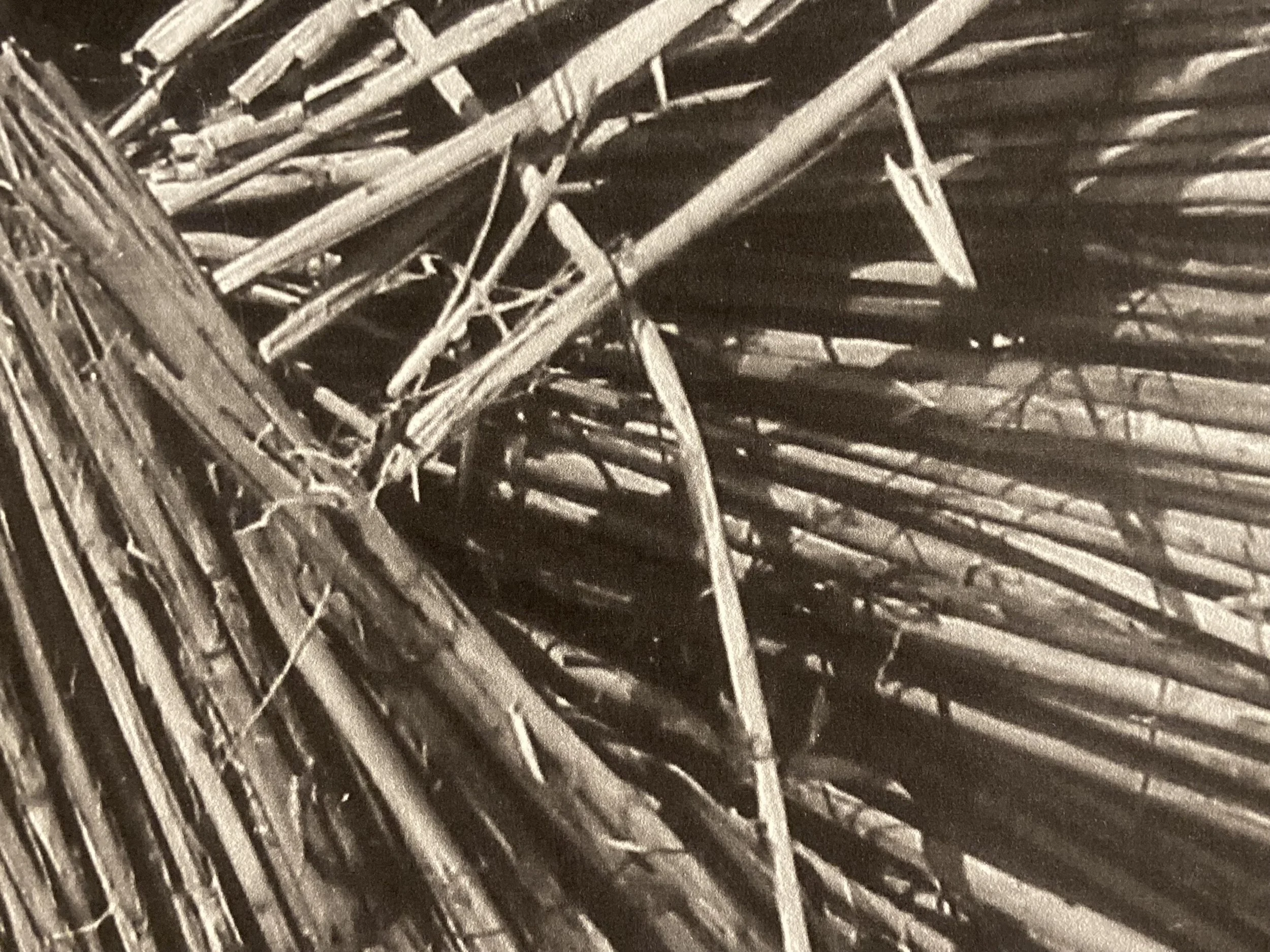 MML0013 DETAIL 1.jpg