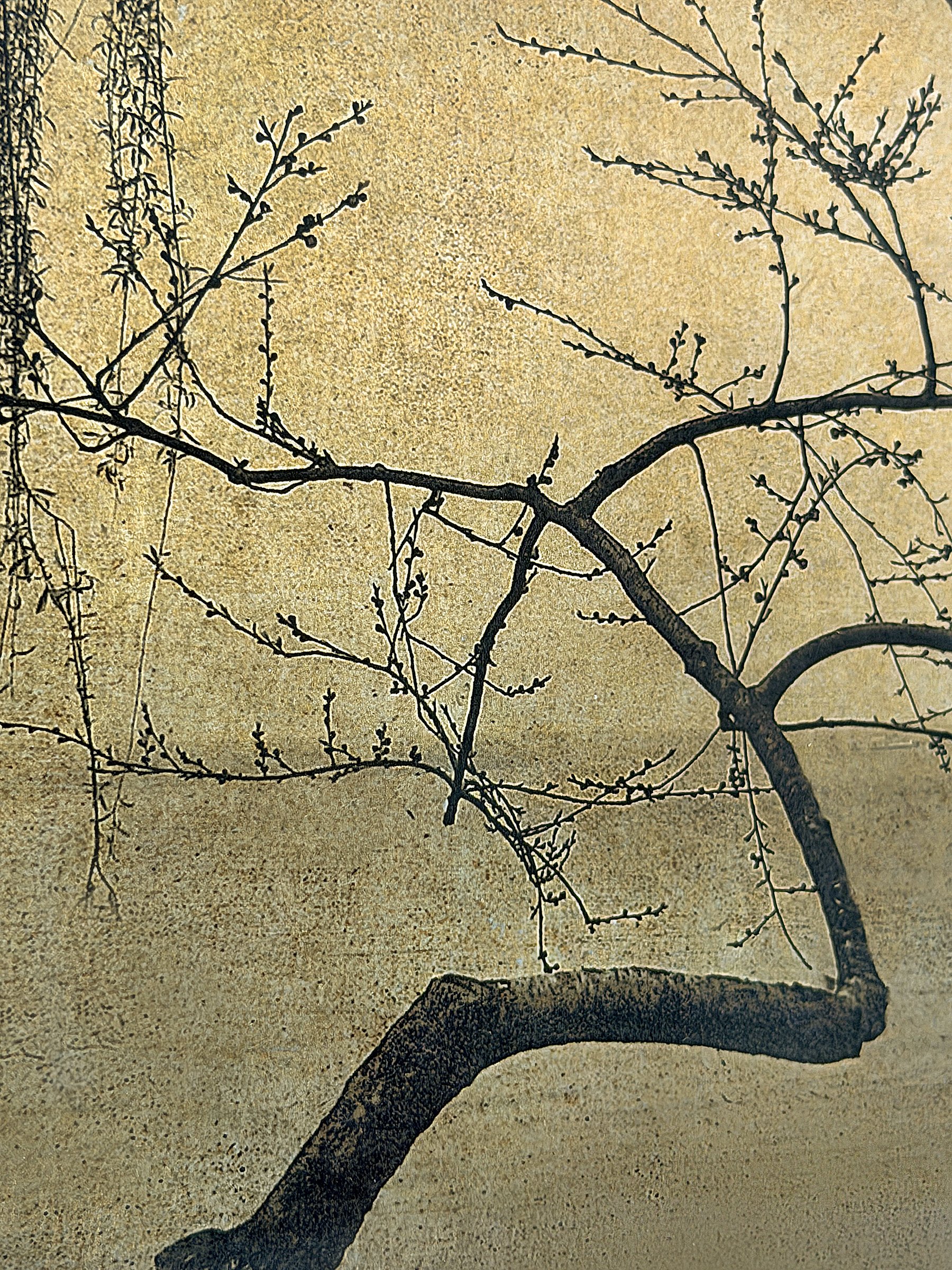 JMB0044 DETAIL 1.jpg