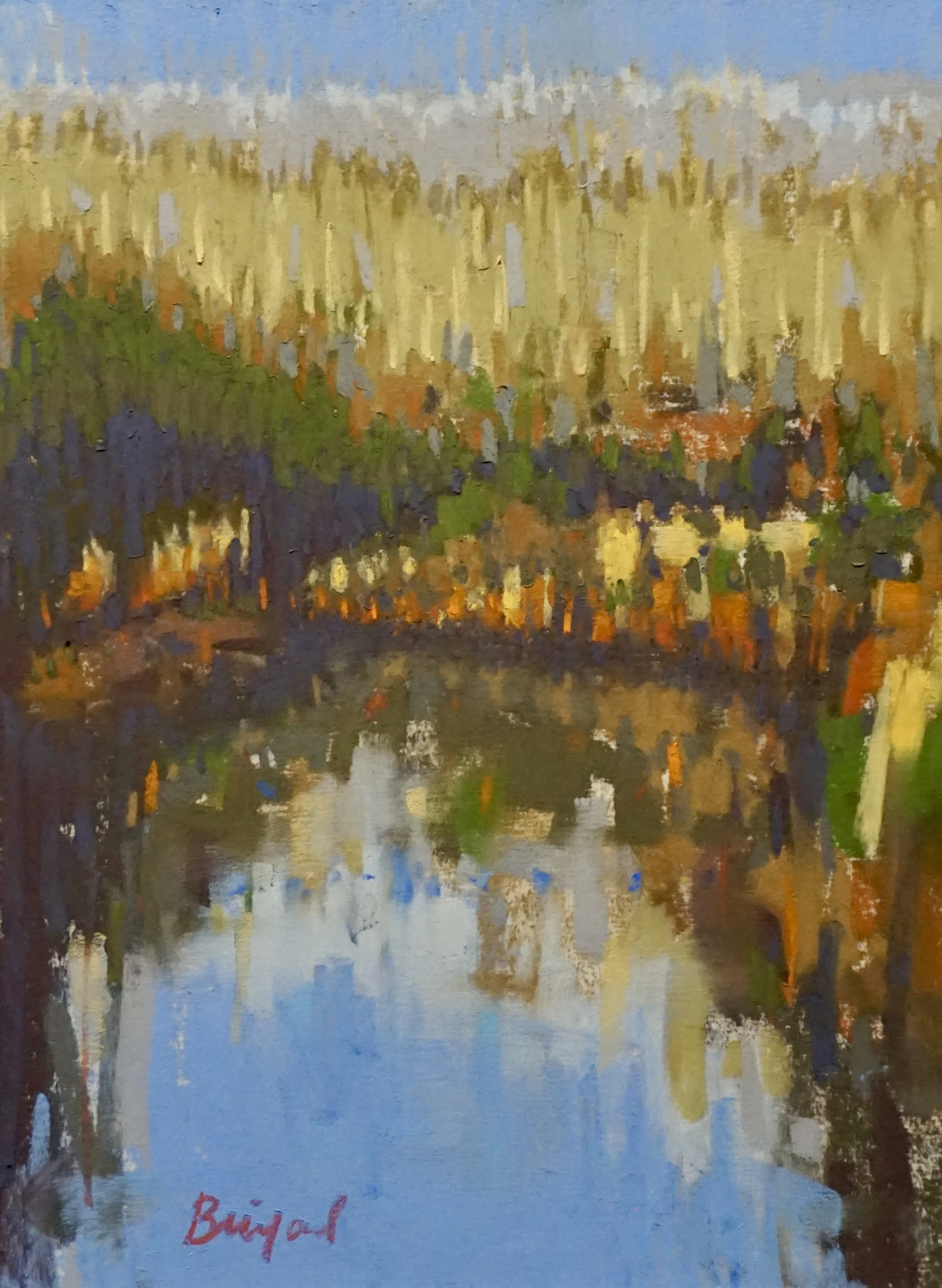 Martin Park November Morning