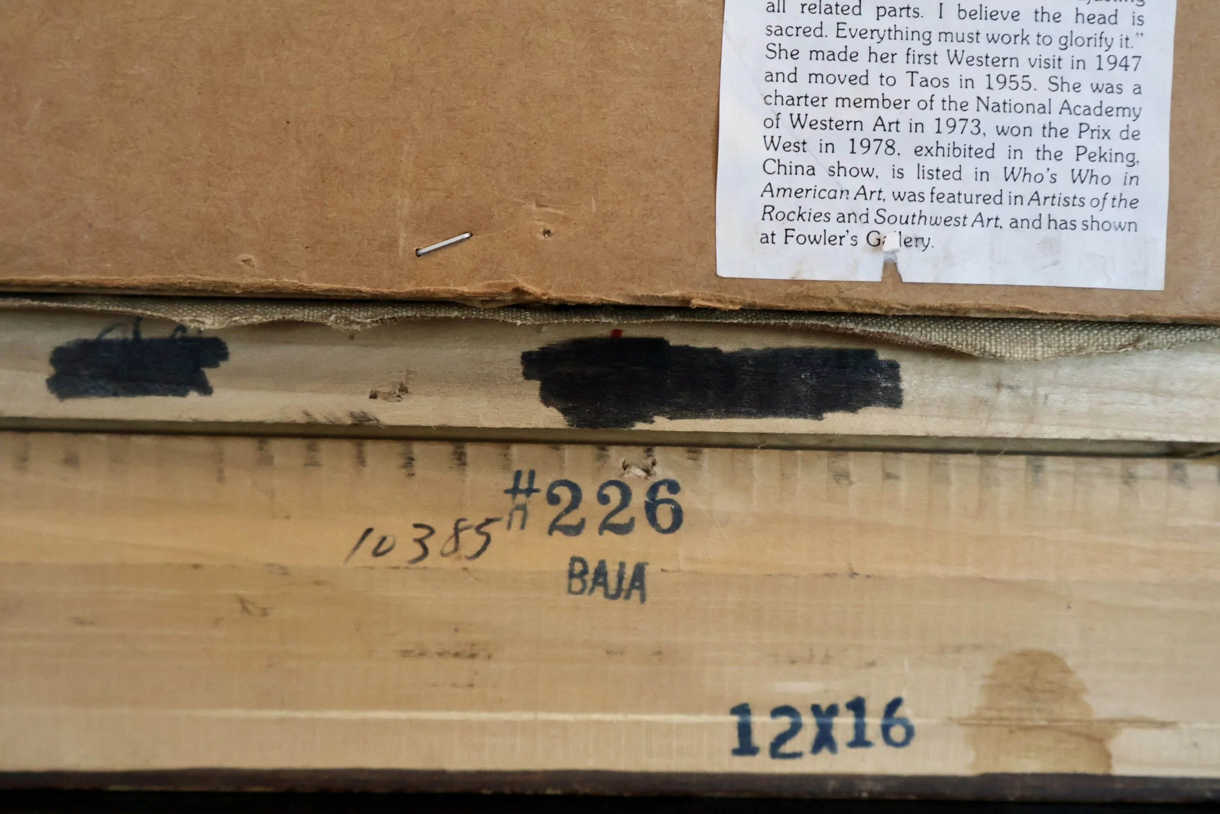 FBeS0001 BACK DETAIL 1.JPG