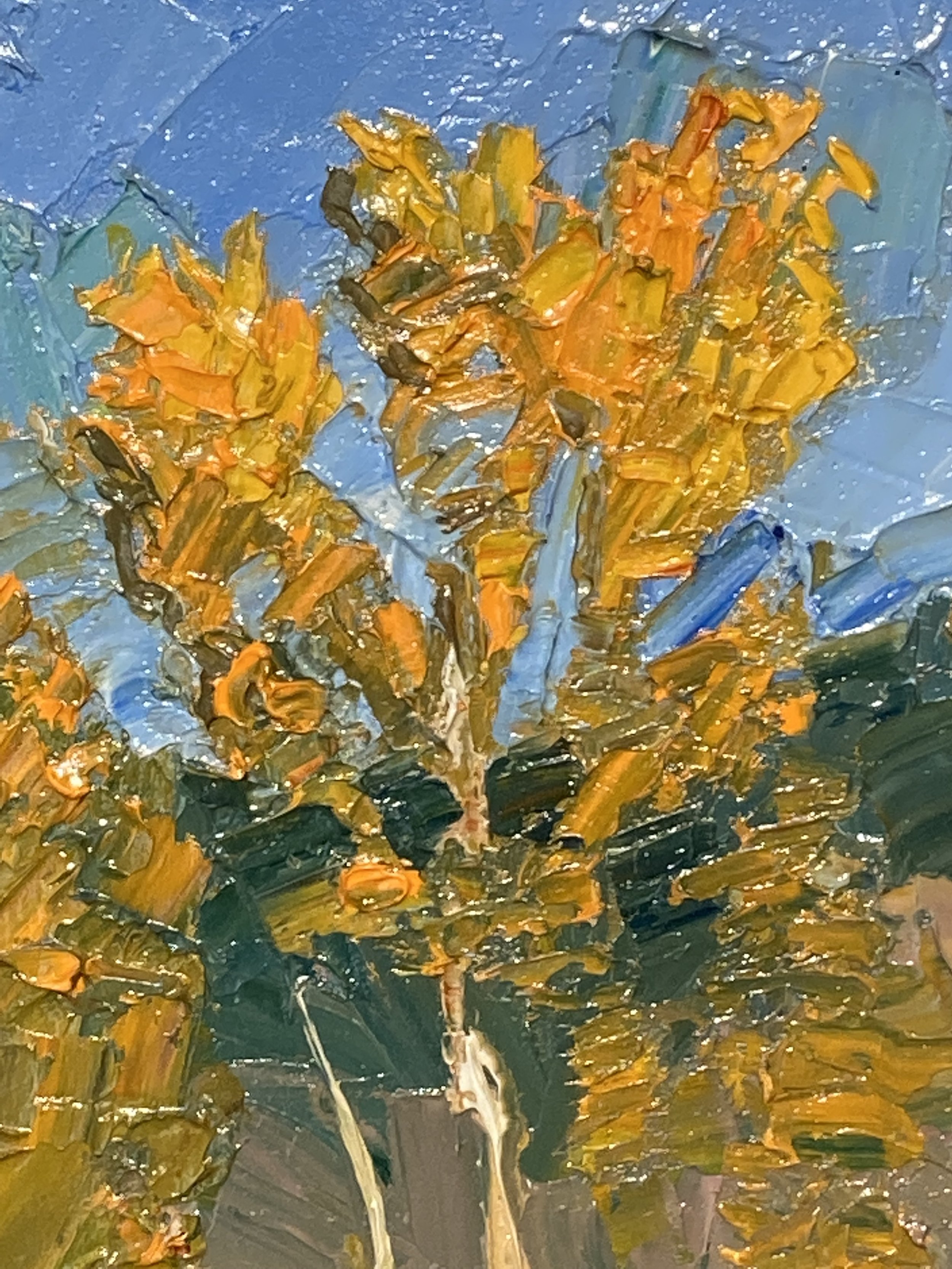 JPC0027 DETAIL 1.jpg