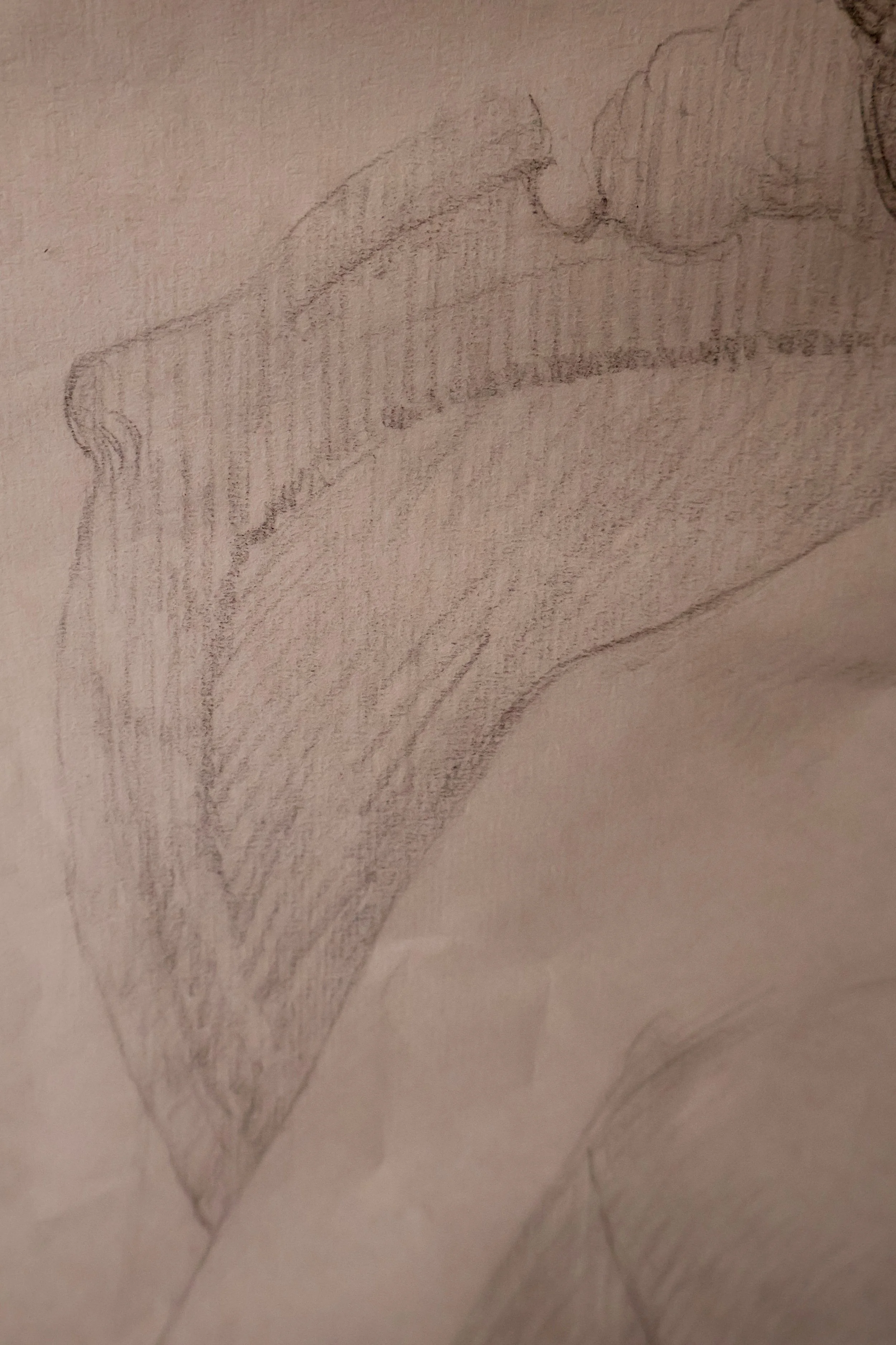 FRV0002 DETAIL 4.JPG