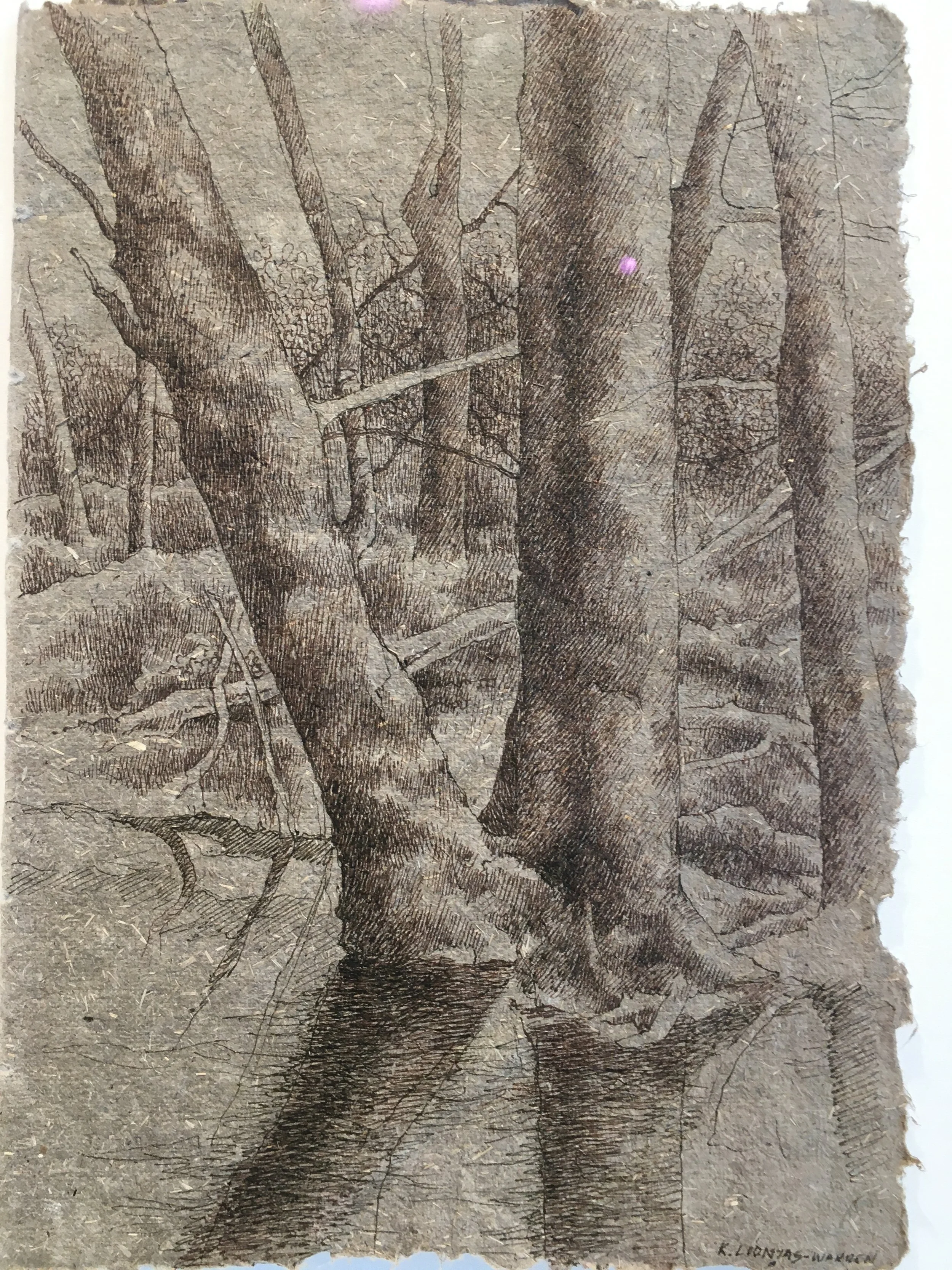 KLW0014 FULL NO FRAME.JPG