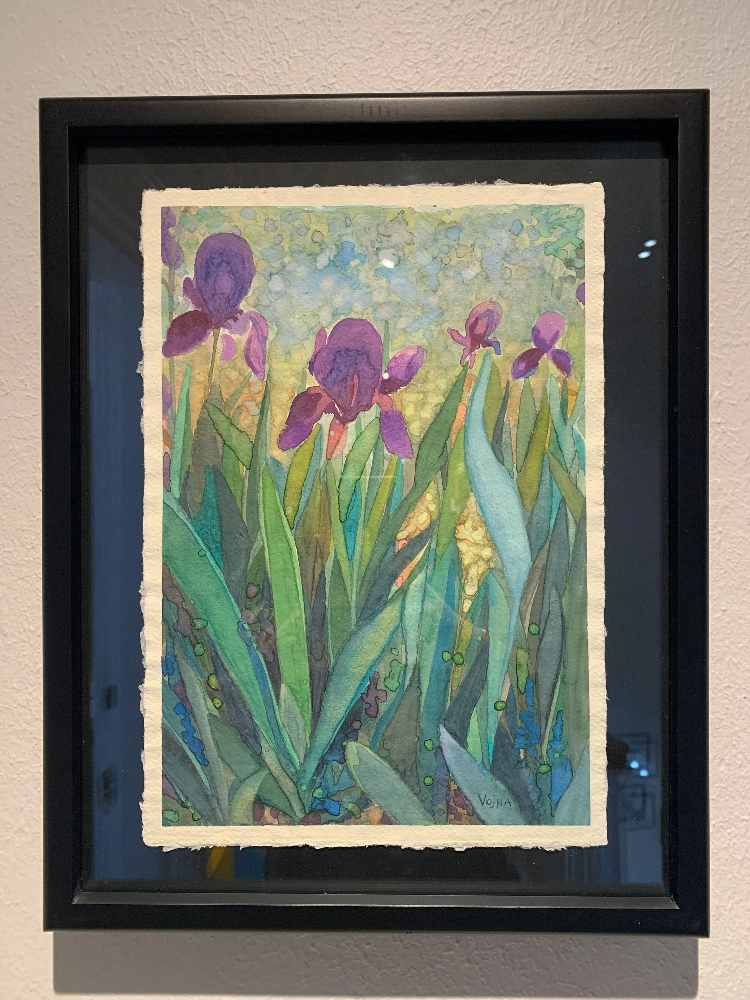 vbc0007-iris-dance (5).jpg