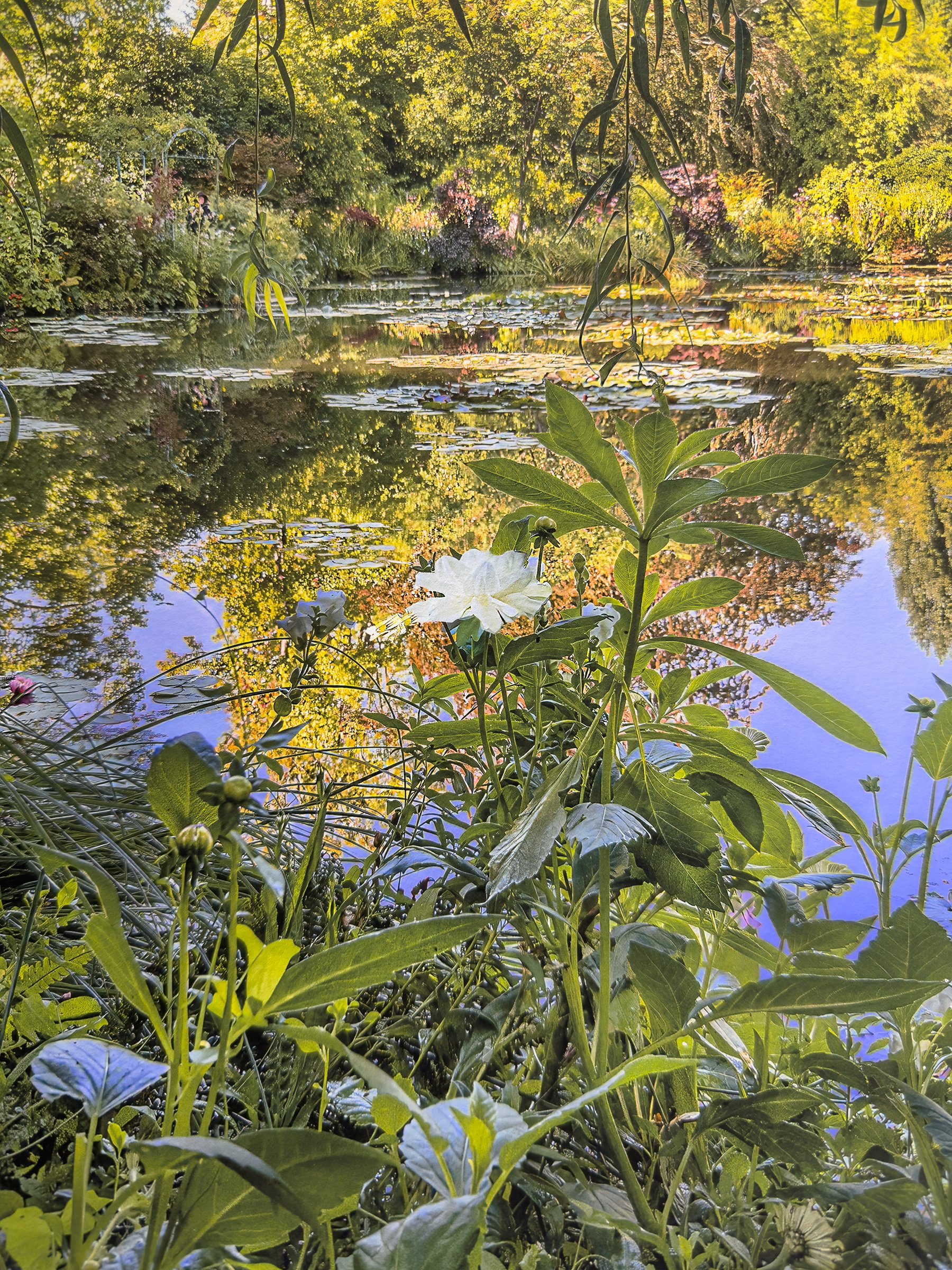 JMB0045 DETAIL 2.jpg