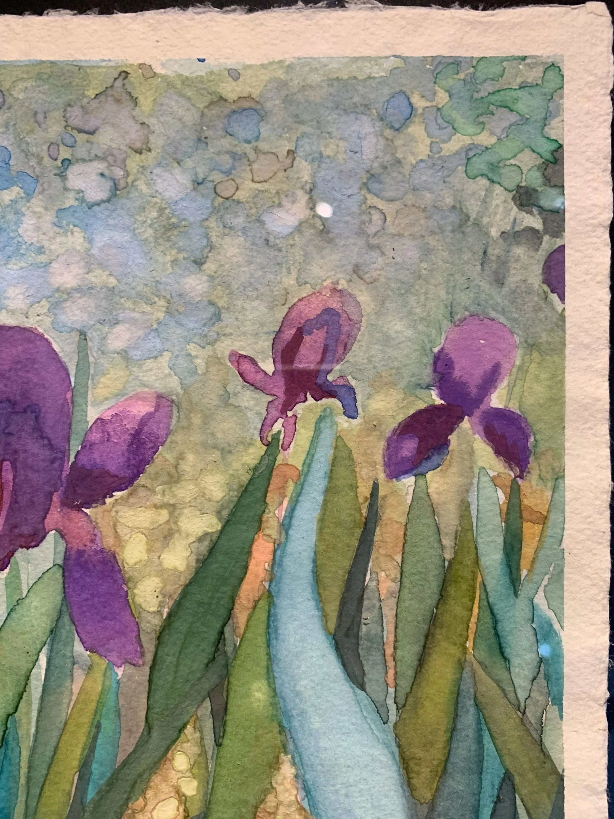 vbc0007-iris-dance (12).jpg