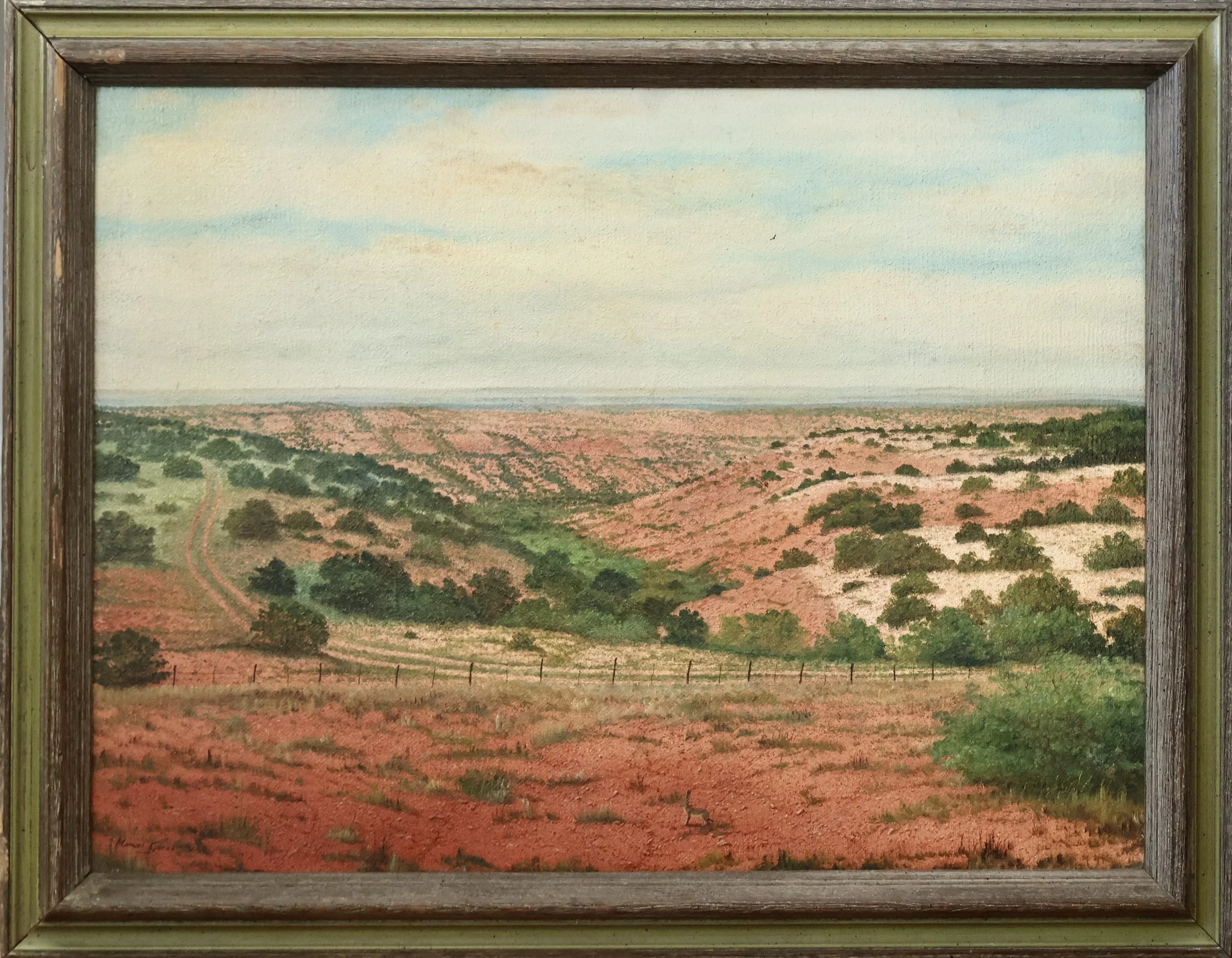 Southwest Texas Landscape