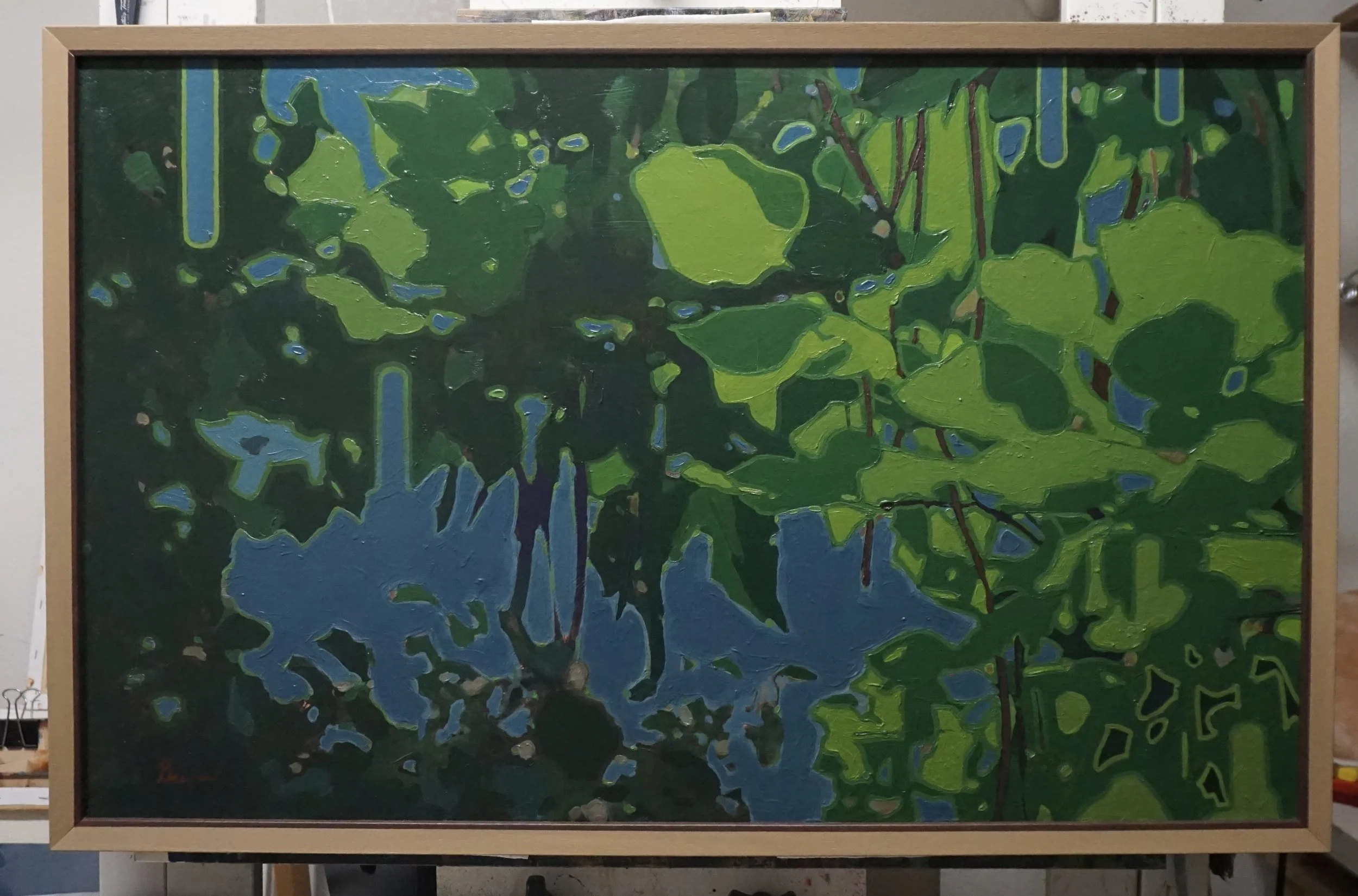 Summertime Canopy (front with frame).JPG