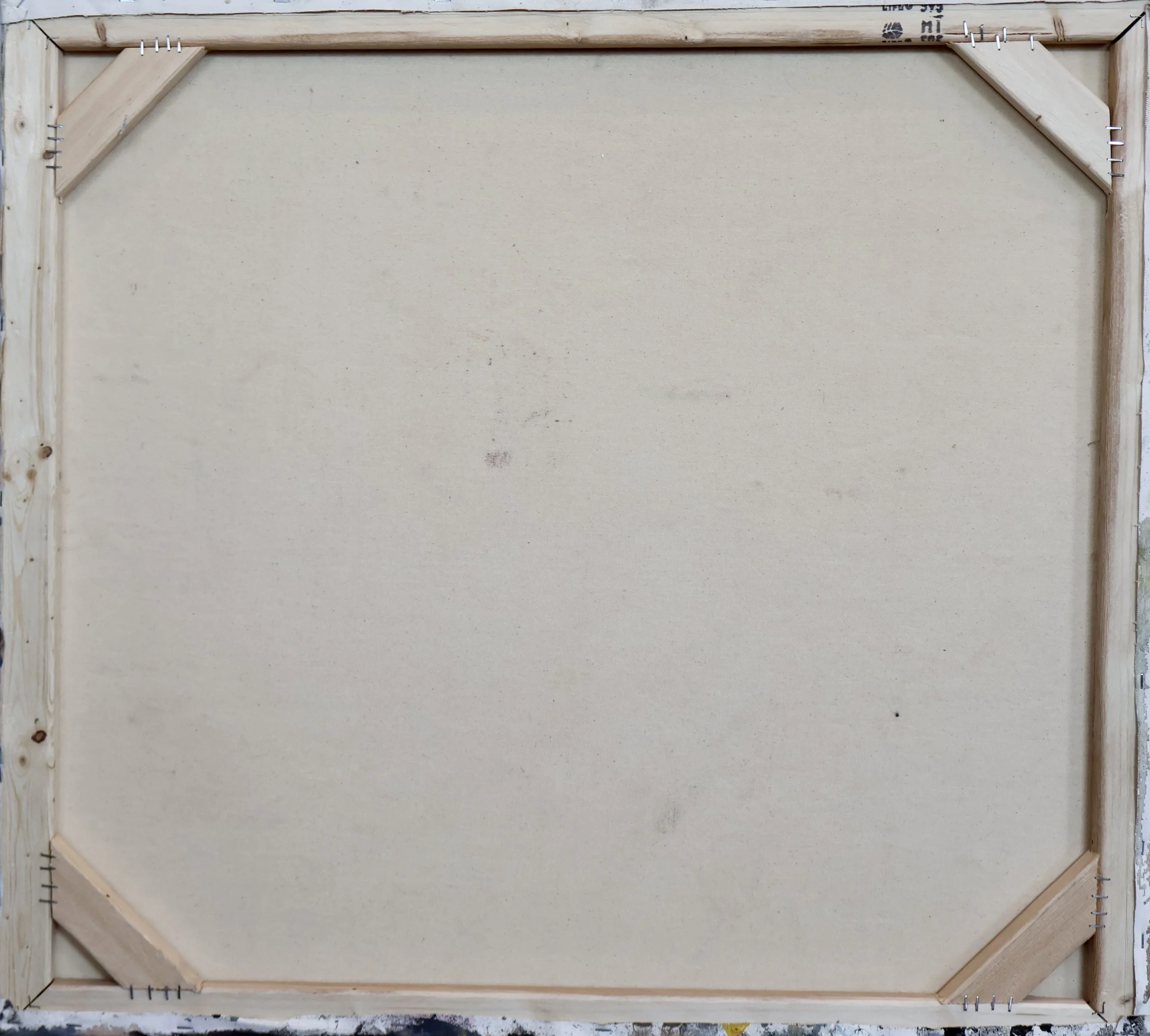 FReB0006 BACK.JPG