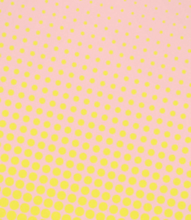 Pop Halftone Vinyl Backdrop 60cmx90cm