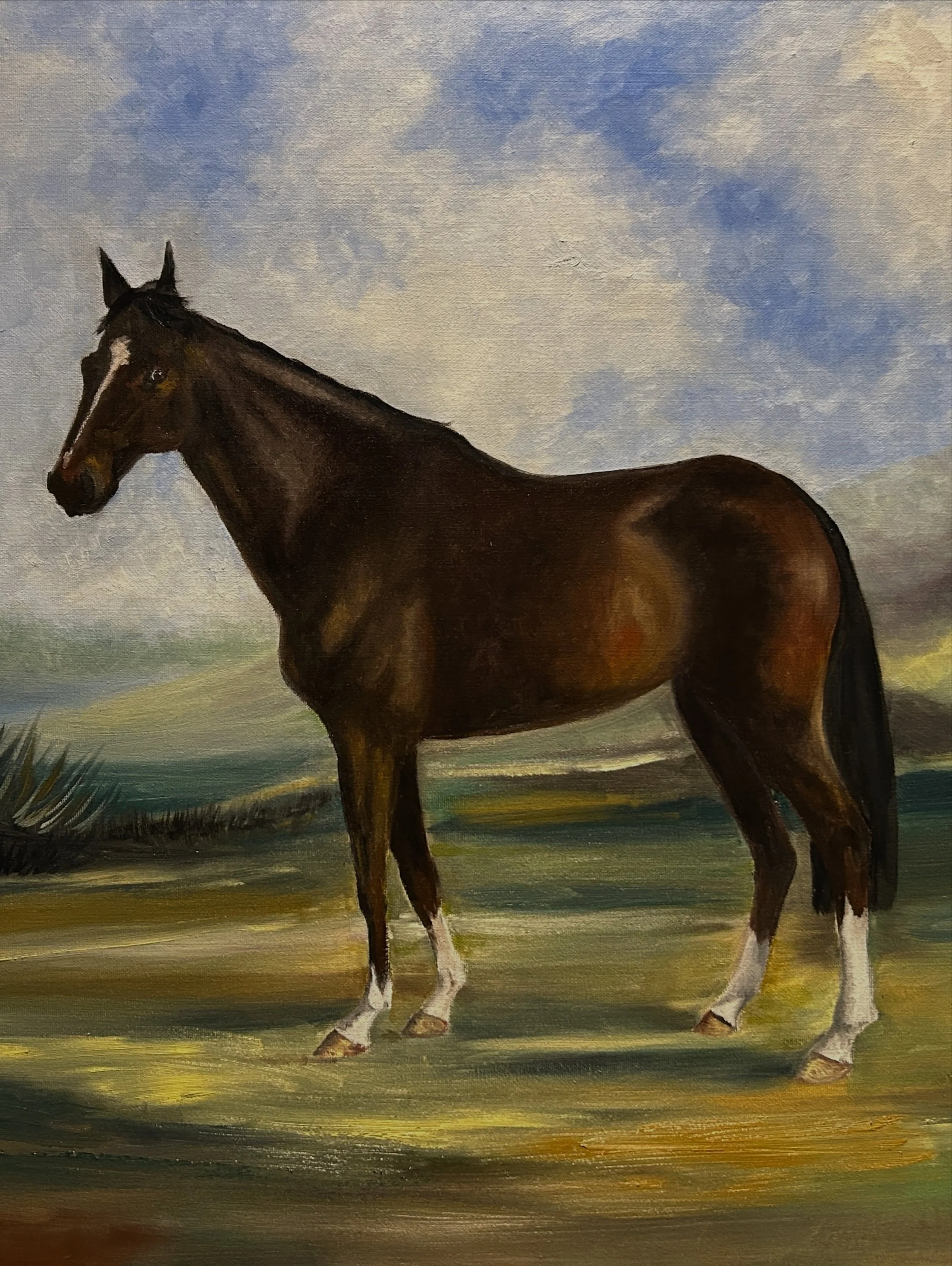 A little progress on Chamana van&rsquo;t hulgenrode. This painting of a very special mare is really coming along well and I am looking forward to having it framed with a nameplate. 
.
I think I will paint a similar version of her son Solo M.E.
.
#fin