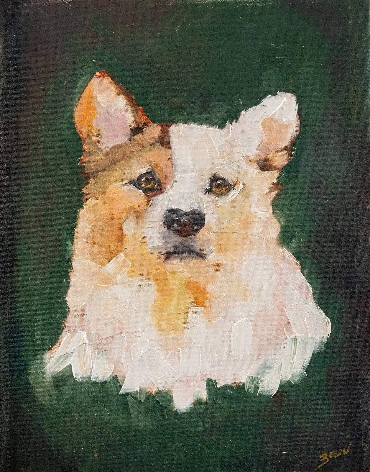 The Corgi