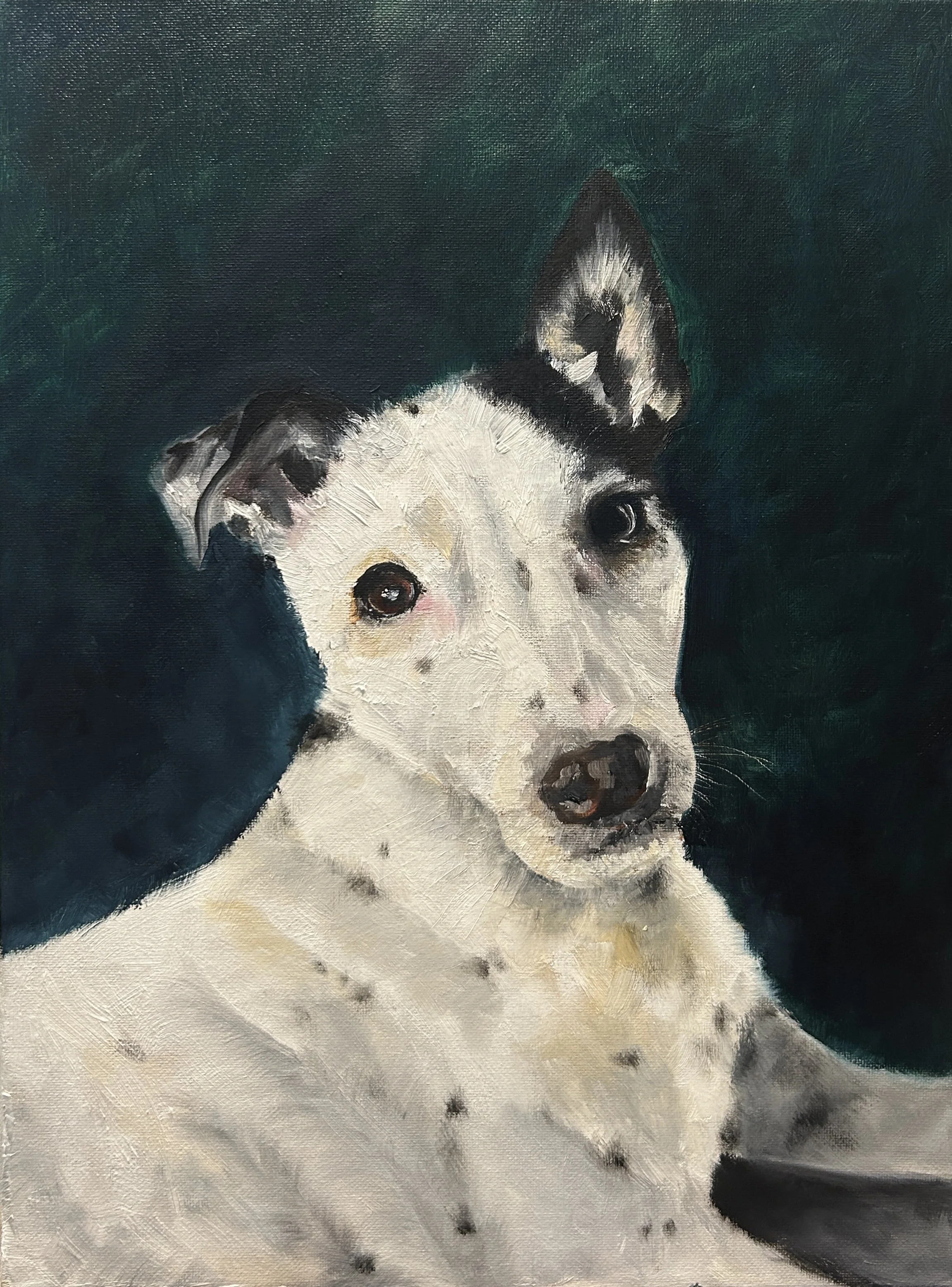 A painting of a white dog with black spots and one ear up, against a dark green background.