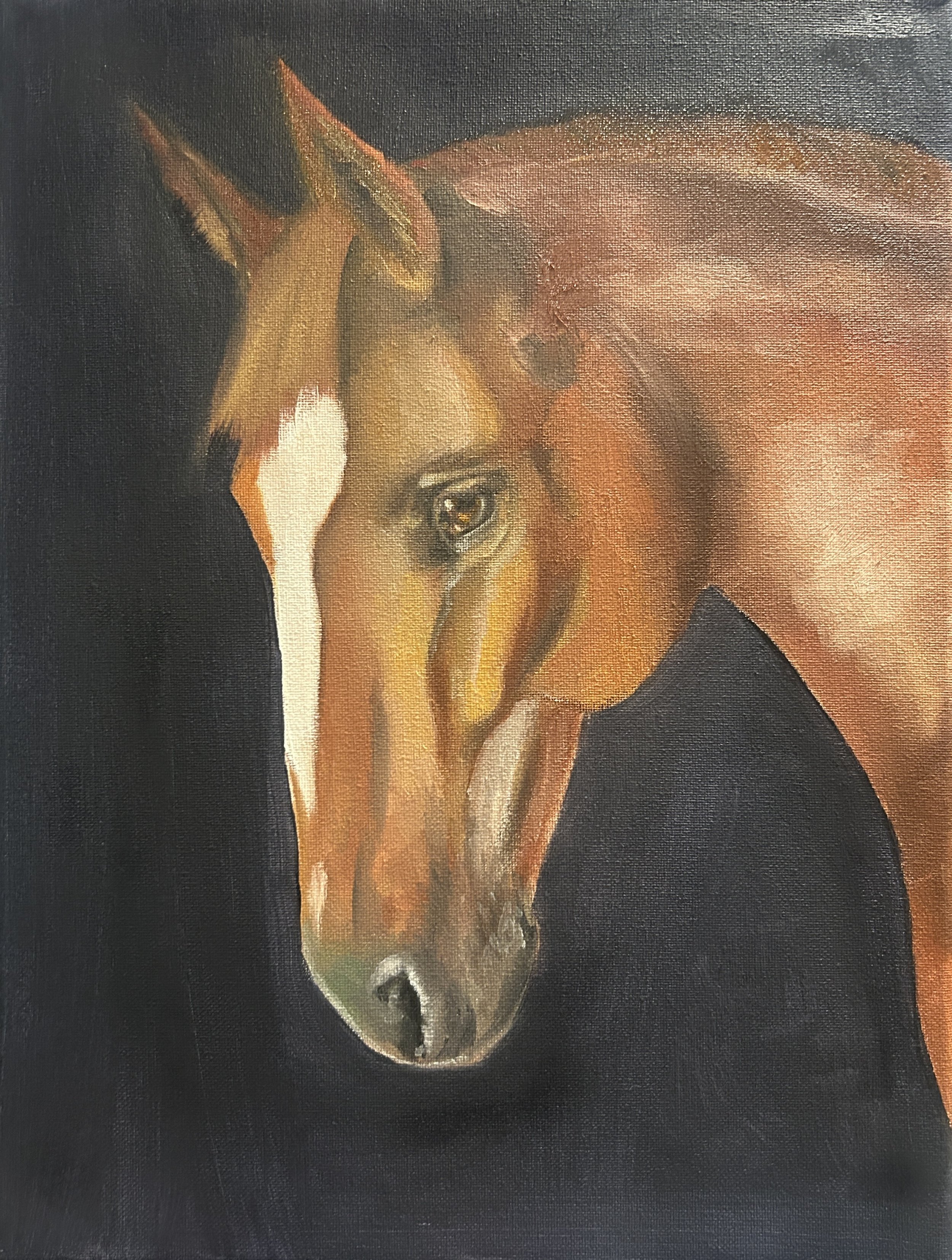 Chestnut Guelding
OIl on Canvas
$800.00 CAD
