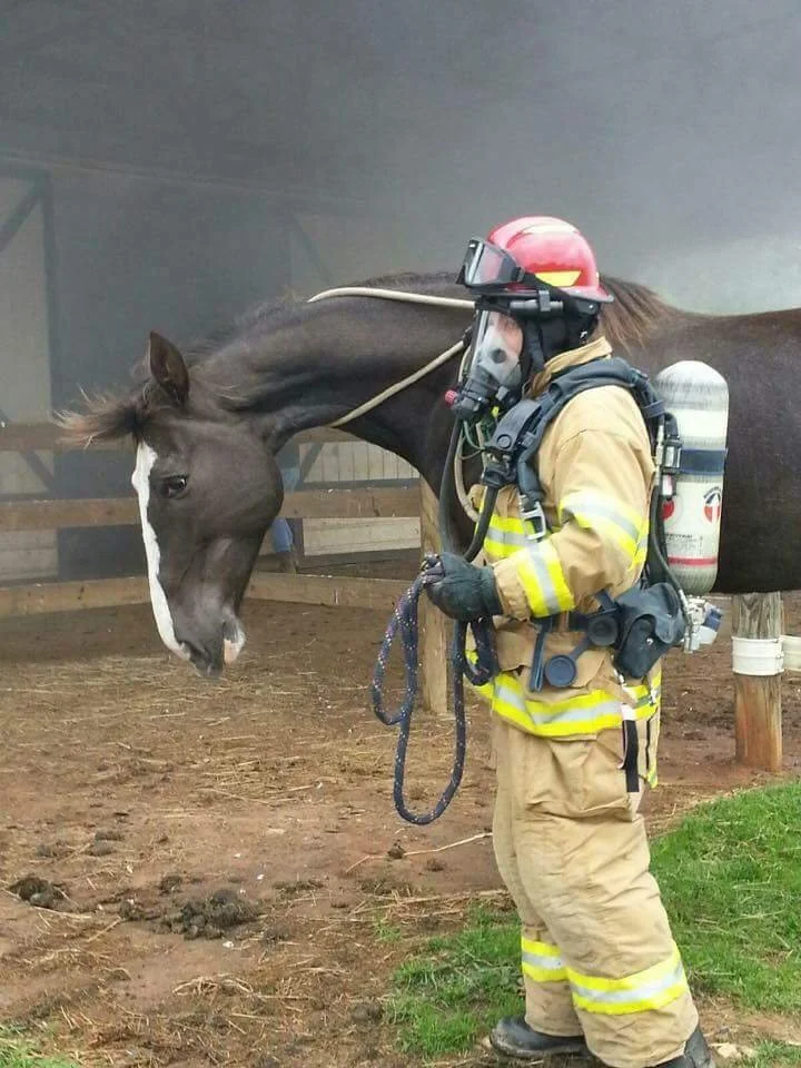 electra lead barn fire tori.jpg