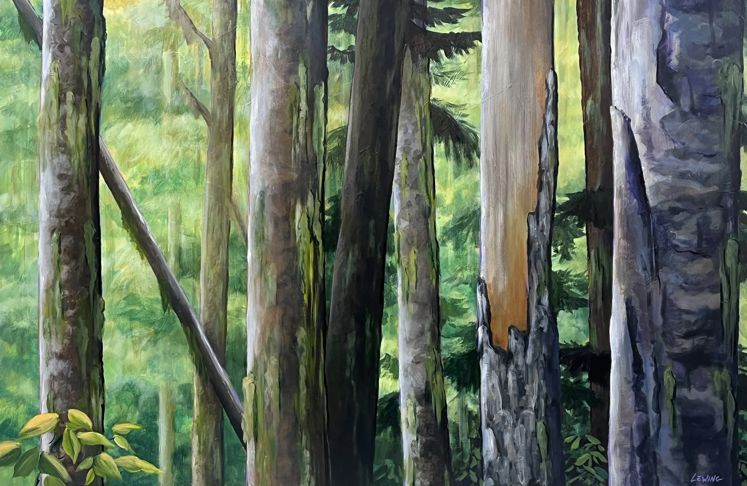 Mossy Firs 24" x 36" $1900