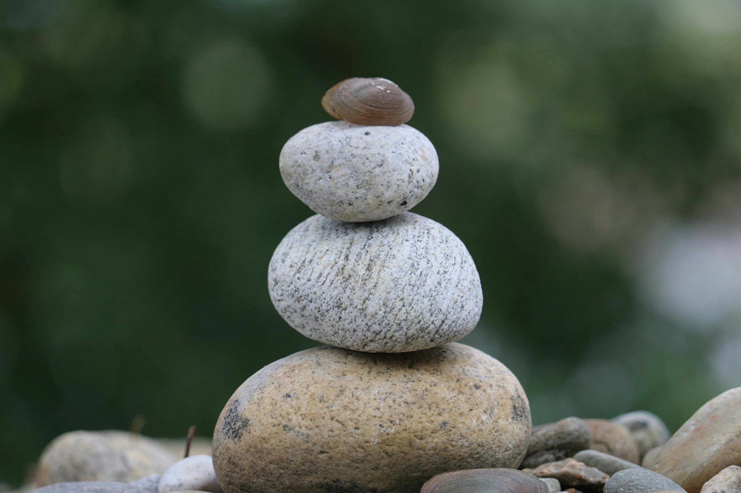 Reset, Recharge & Rebalance Series - Week 1: Root ❤️