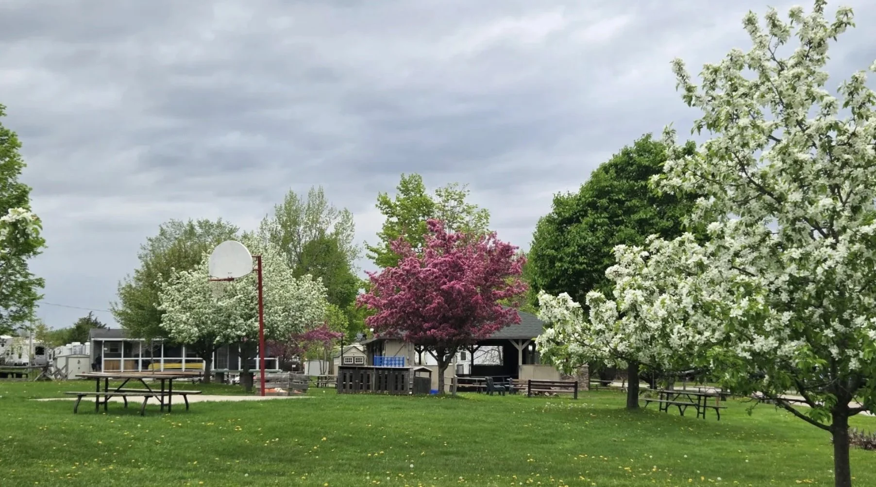 Private Yoga Session at Sunnyside Family Retreat