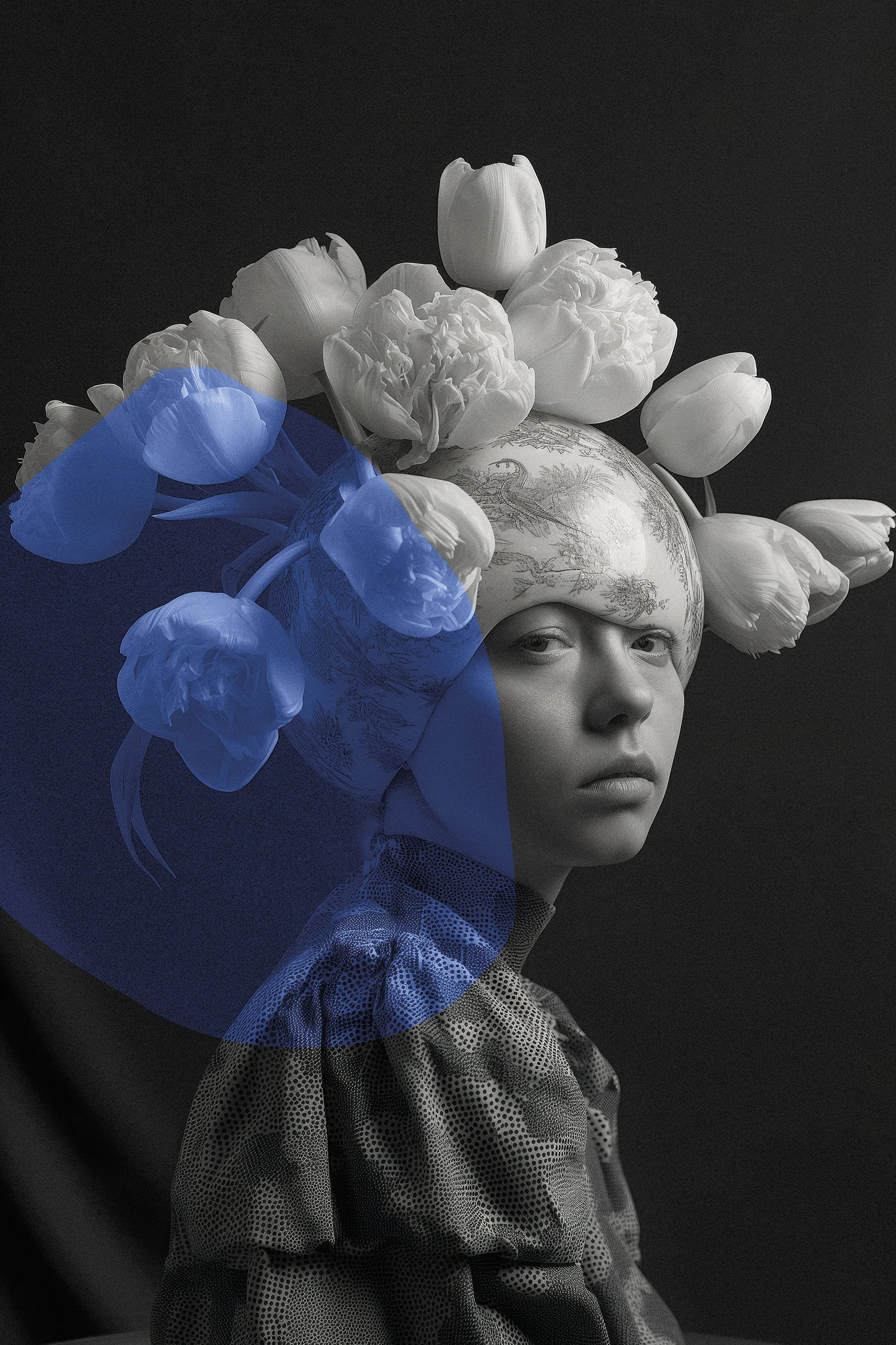 FloraMagnifica_2 copia.jpg