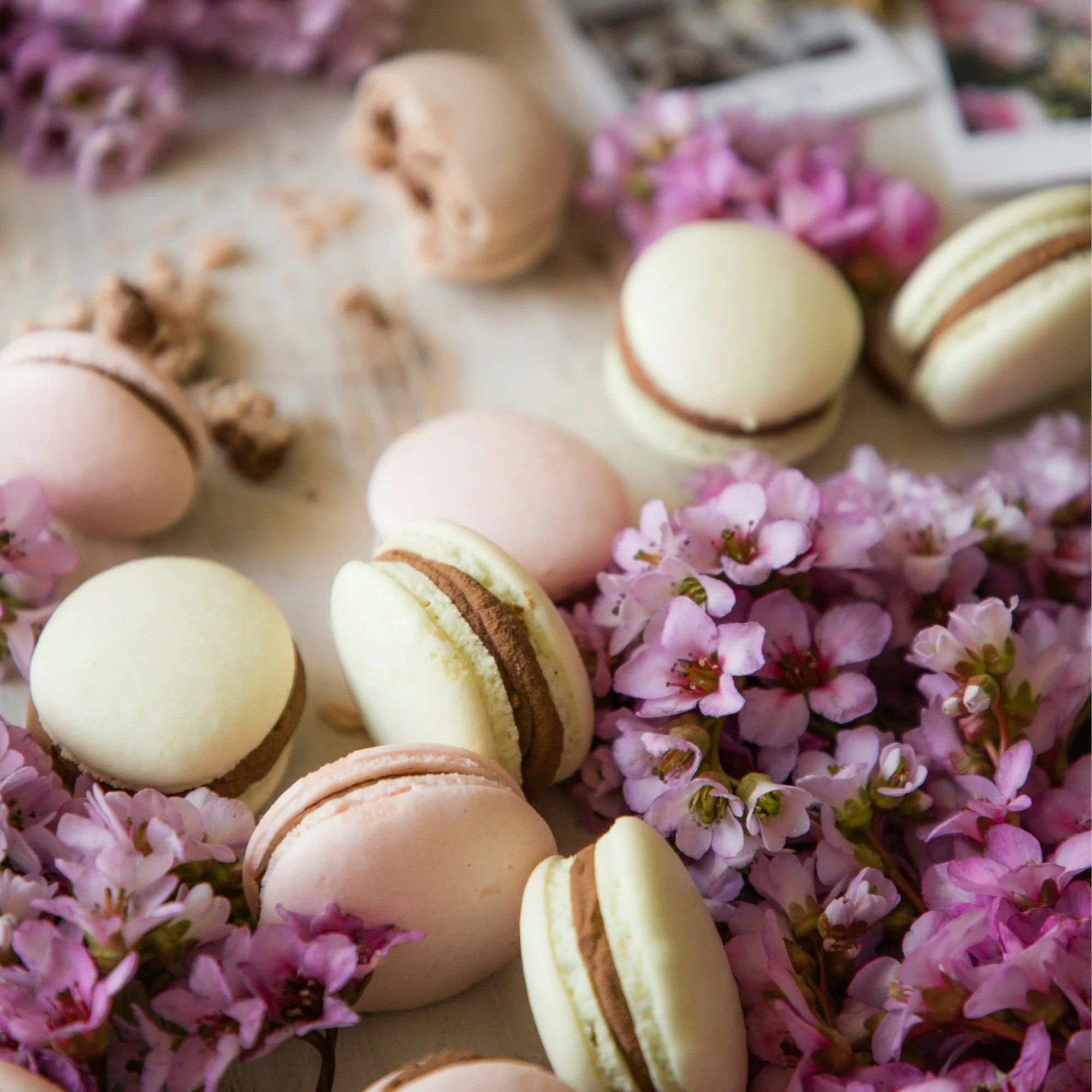 March 2026 Newsletter