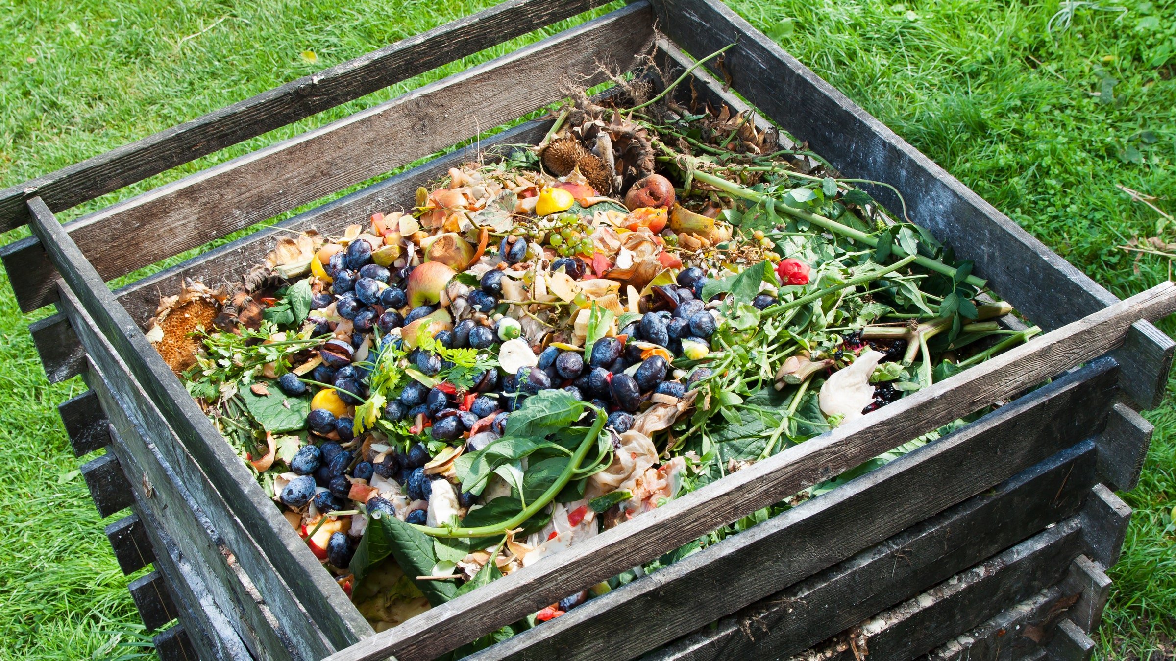 Compost Recipe