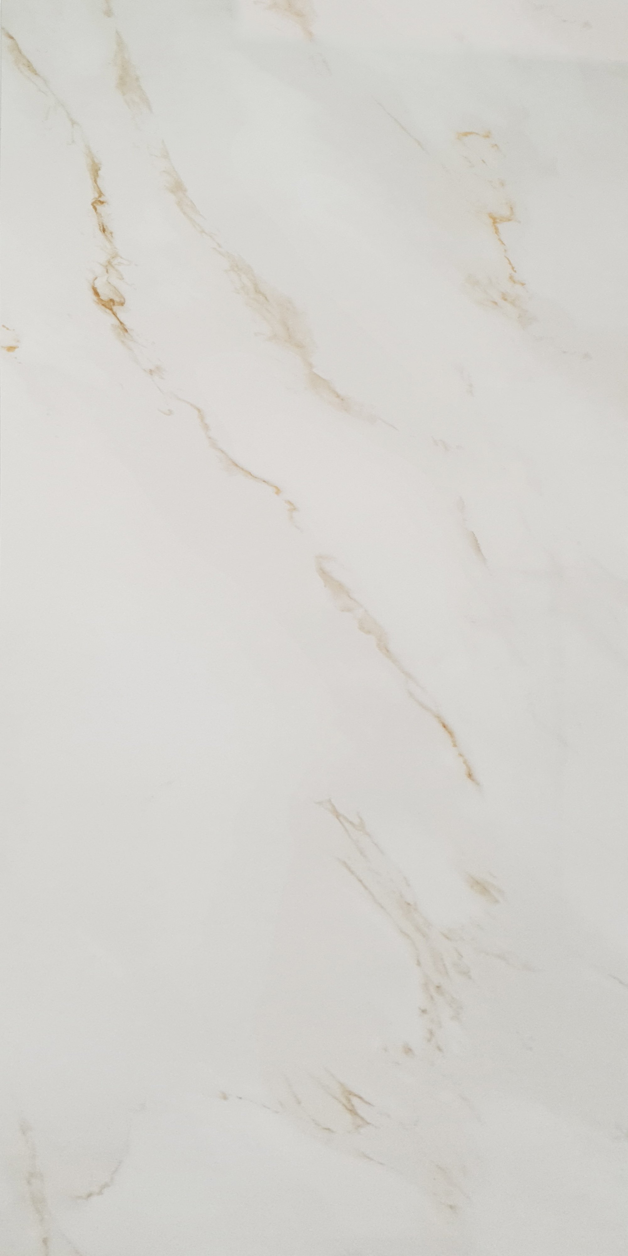 SerenityWhiteMatt60x120_ffd890f1-1dce-4664-82ce-d8ac11ea99e0.jpg