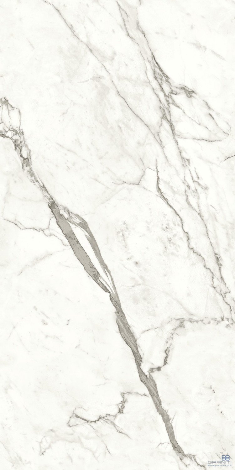AtlasConcorde_MarvelShine_StatuarioSupremo_120x240_Polished_A4RJ_5.jpg