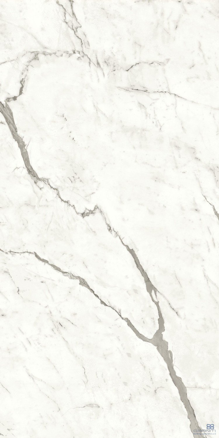 AtlasConcorde_MarvelShine_StatuarioSupremo_120x240_Polished_A4RJ_2.jpg