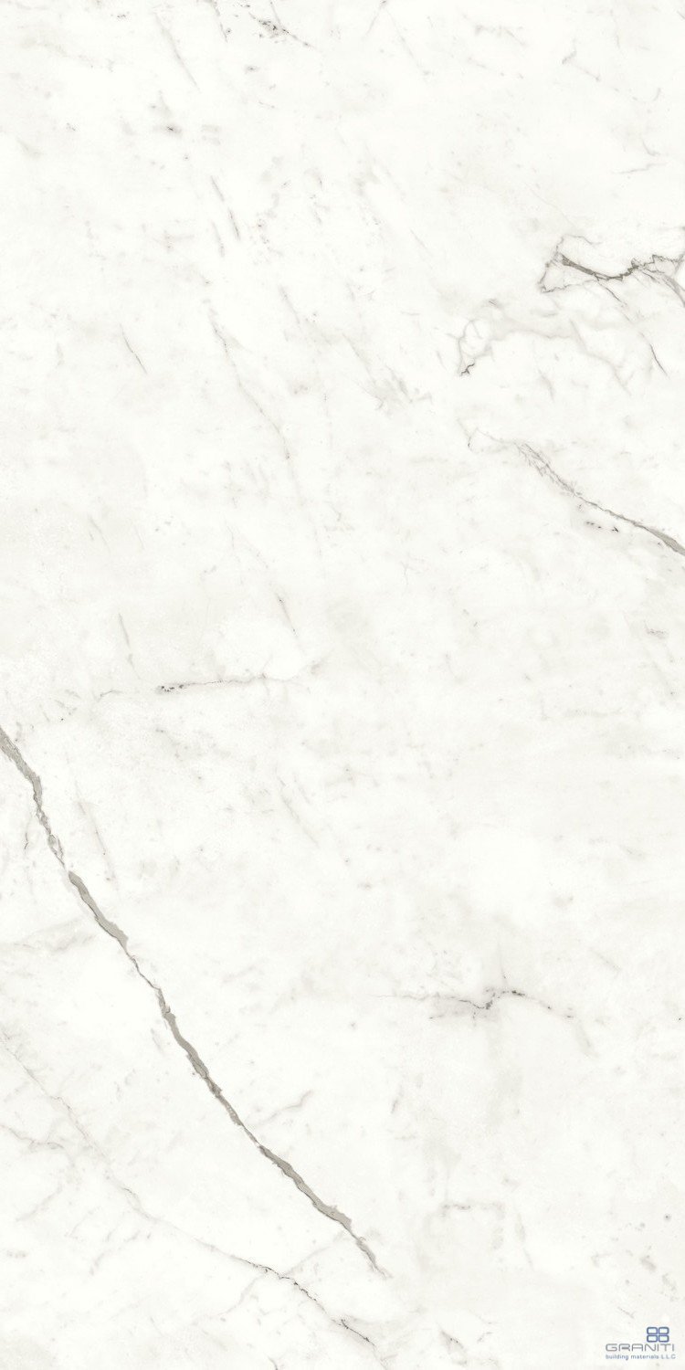 AtlasConcorde_MarvelShine_StatuarioSupremo_120x240_Polished_A4RJ_4.jpg