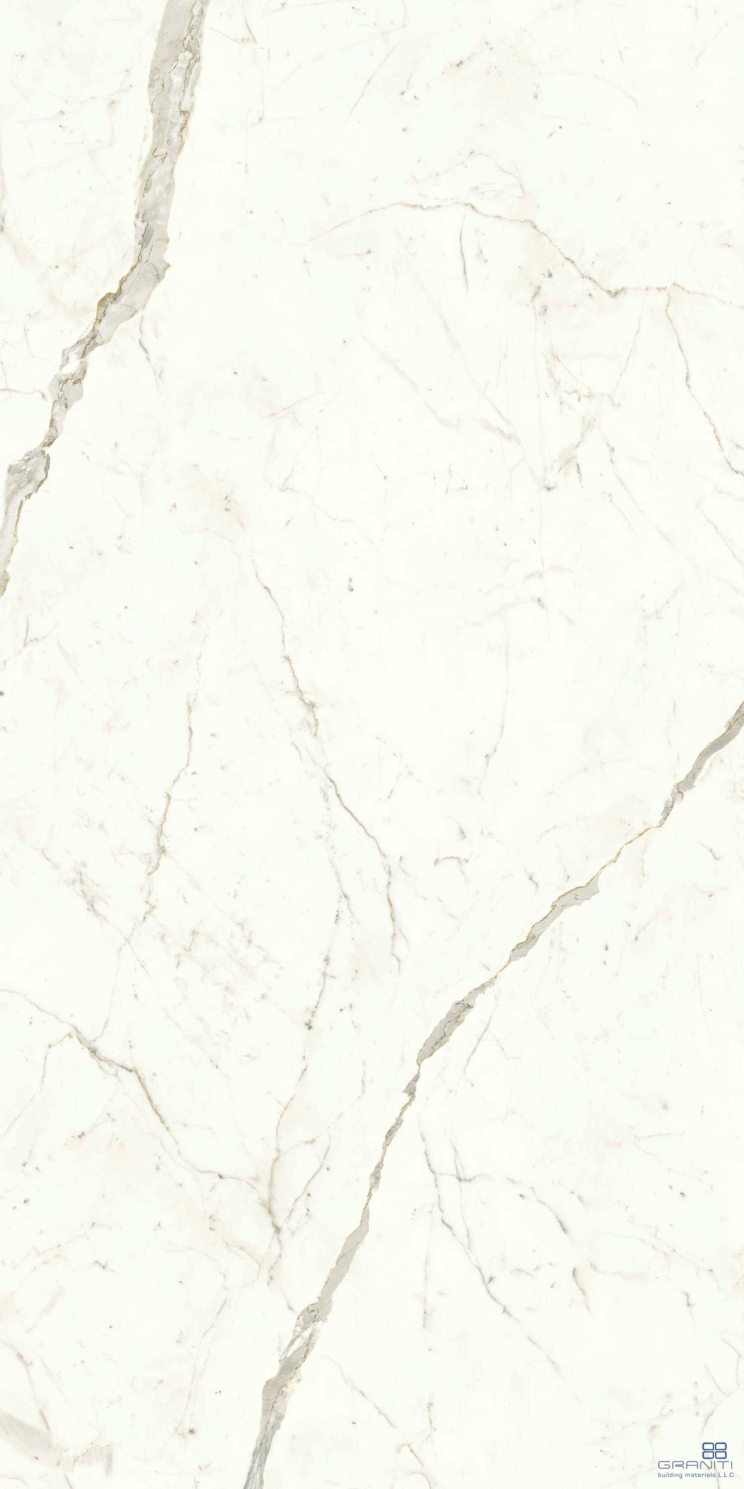 AtlasConcorde_MarvelShine_CalacattaPrestigio_120x240_Polished_A4RI_8.jpg