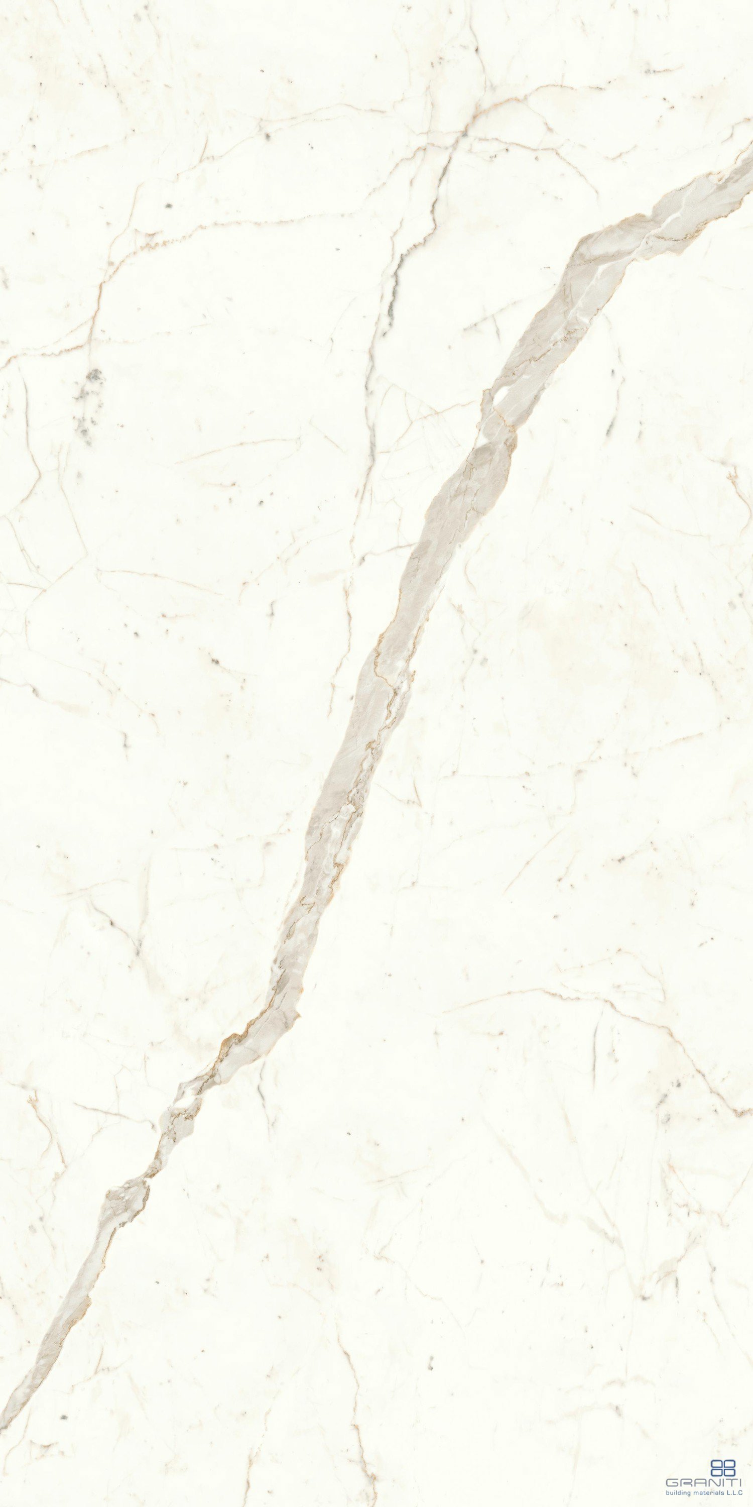 AtlasConcorde_MarvelShine_CalacattaPrestigio_120x240_Polished_A4RI_4.jpg