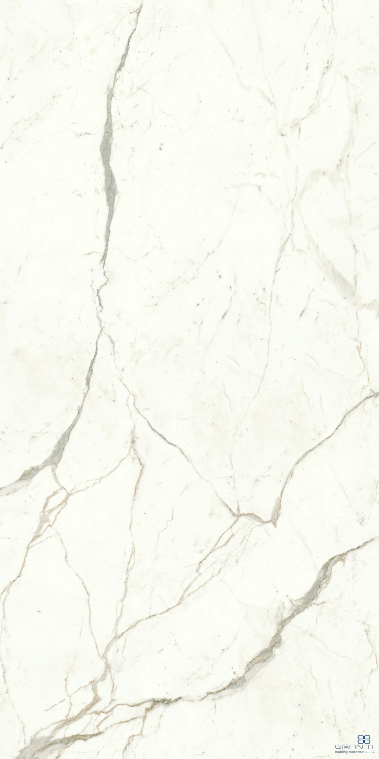 AtlasConcorde_MarvelShine_CalacattaPrestigio_120x240_Polished_A4RI_10.jpg