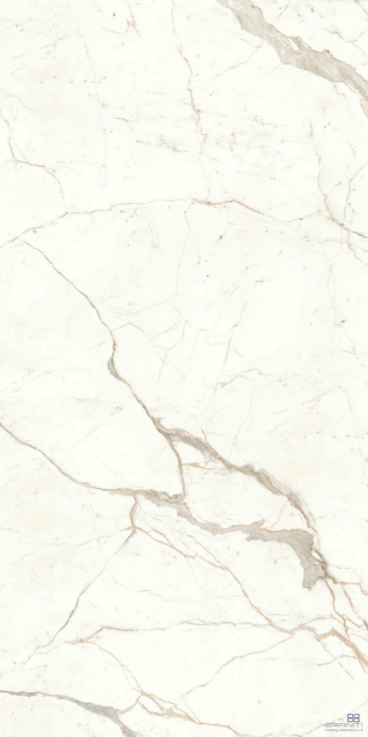 AtlasConcorde_MarvelShine_CalacattaPrestigio_120x240_Polished_A4RI_1.jpg