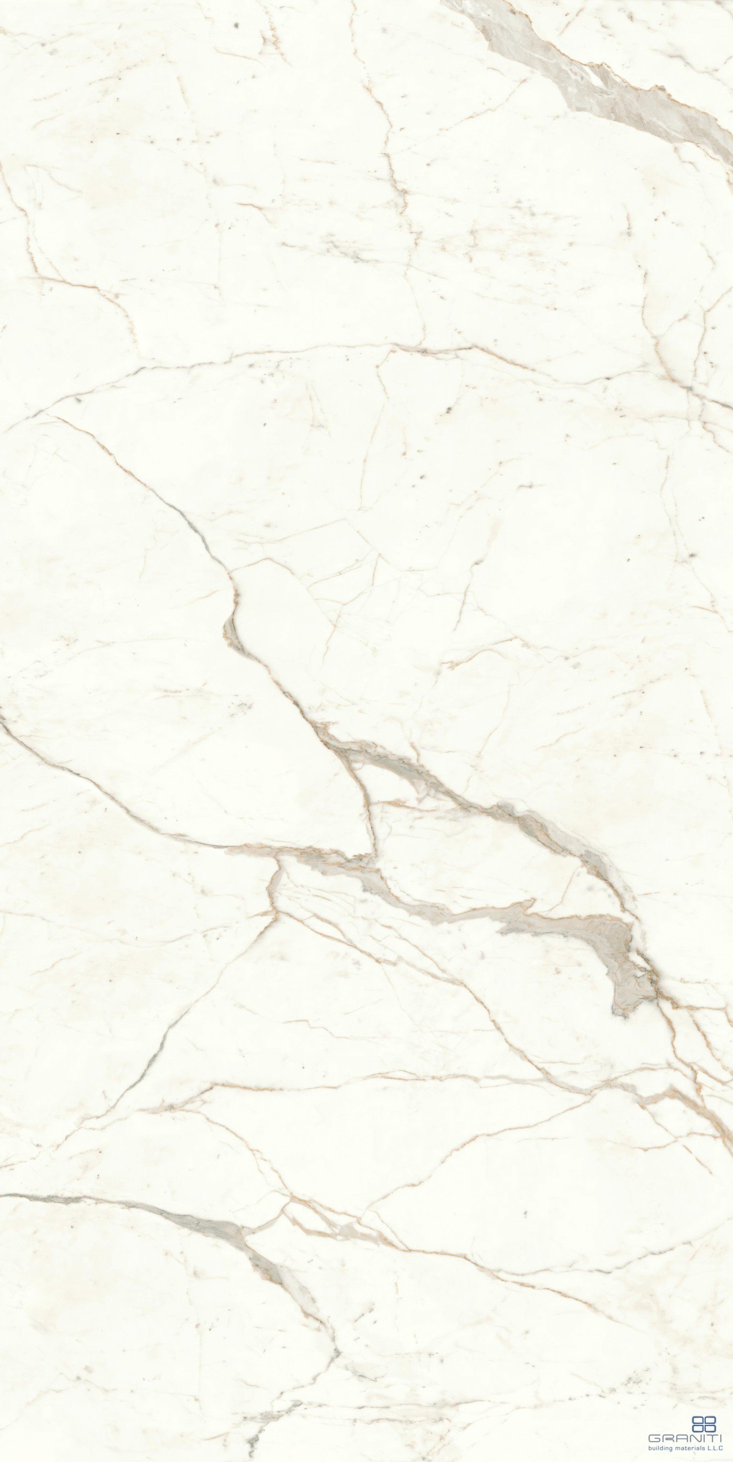 AtlasConcorde_MarvelShine_CalacattaPrestigio_160x320_Polished_A4RR_1.jpg